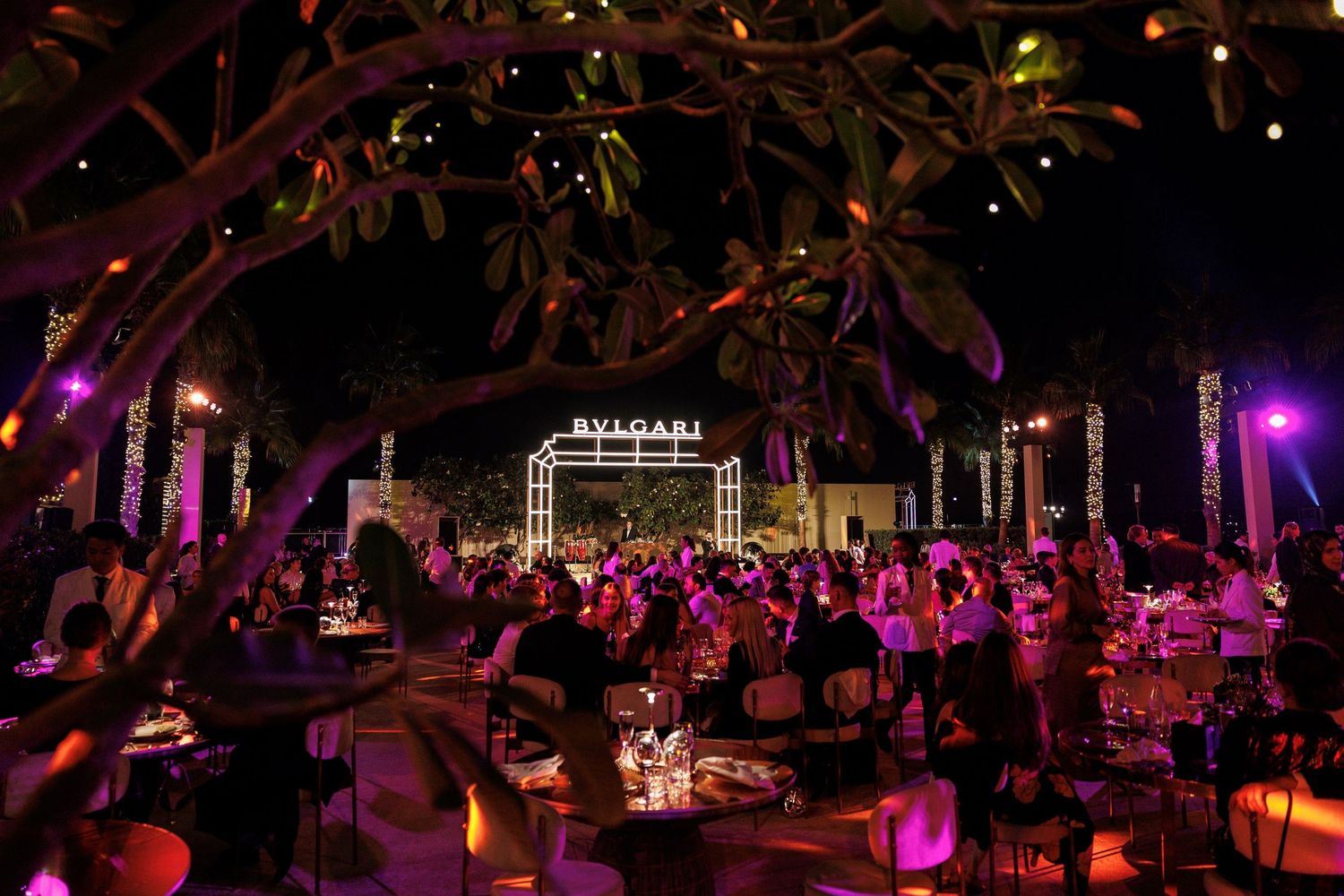 Outdoor evening event space with purple lighting and decorative tree silhouettes.