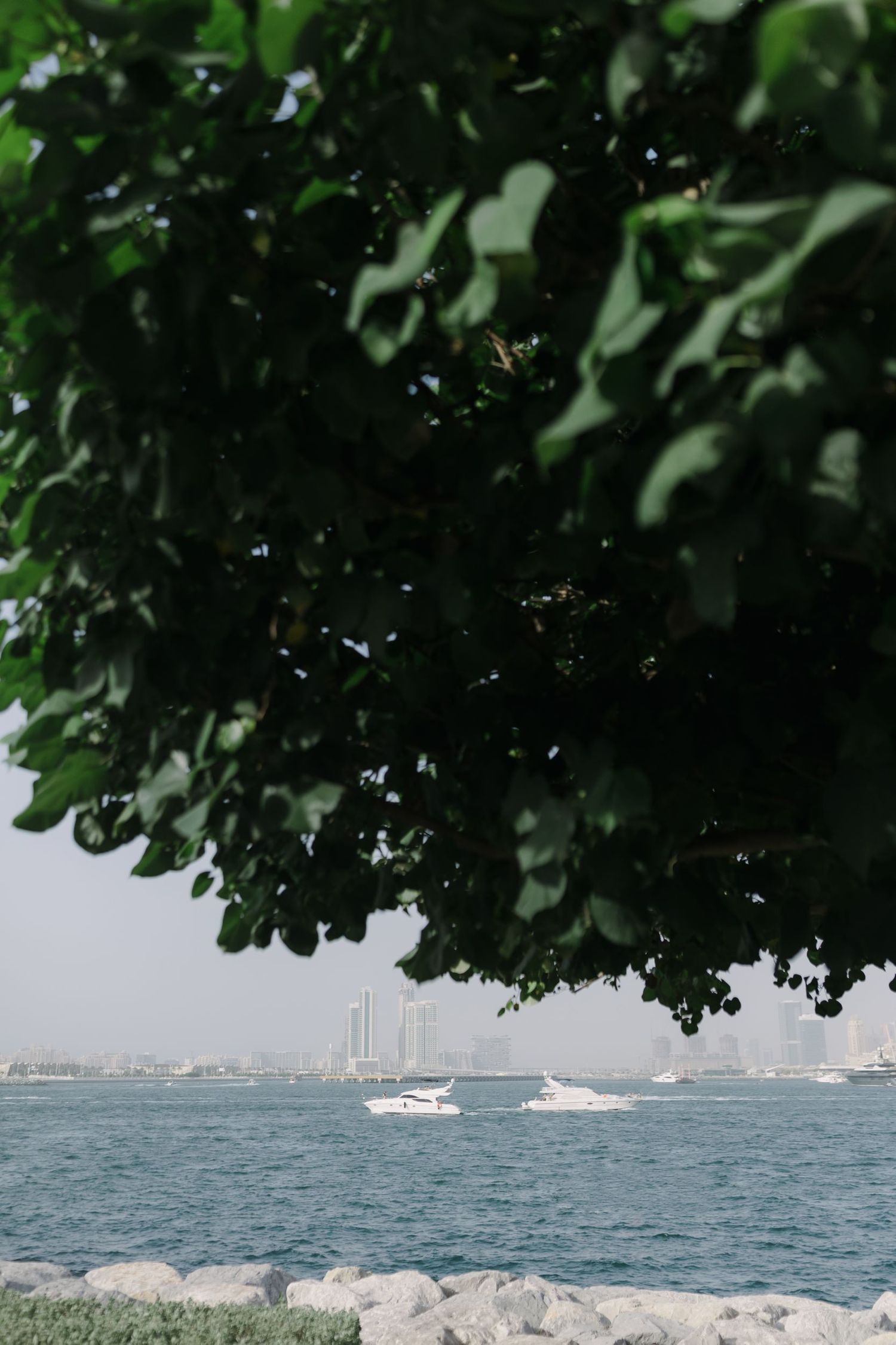 Scenic waterfront view with boats and trees framing the ocean landscape.