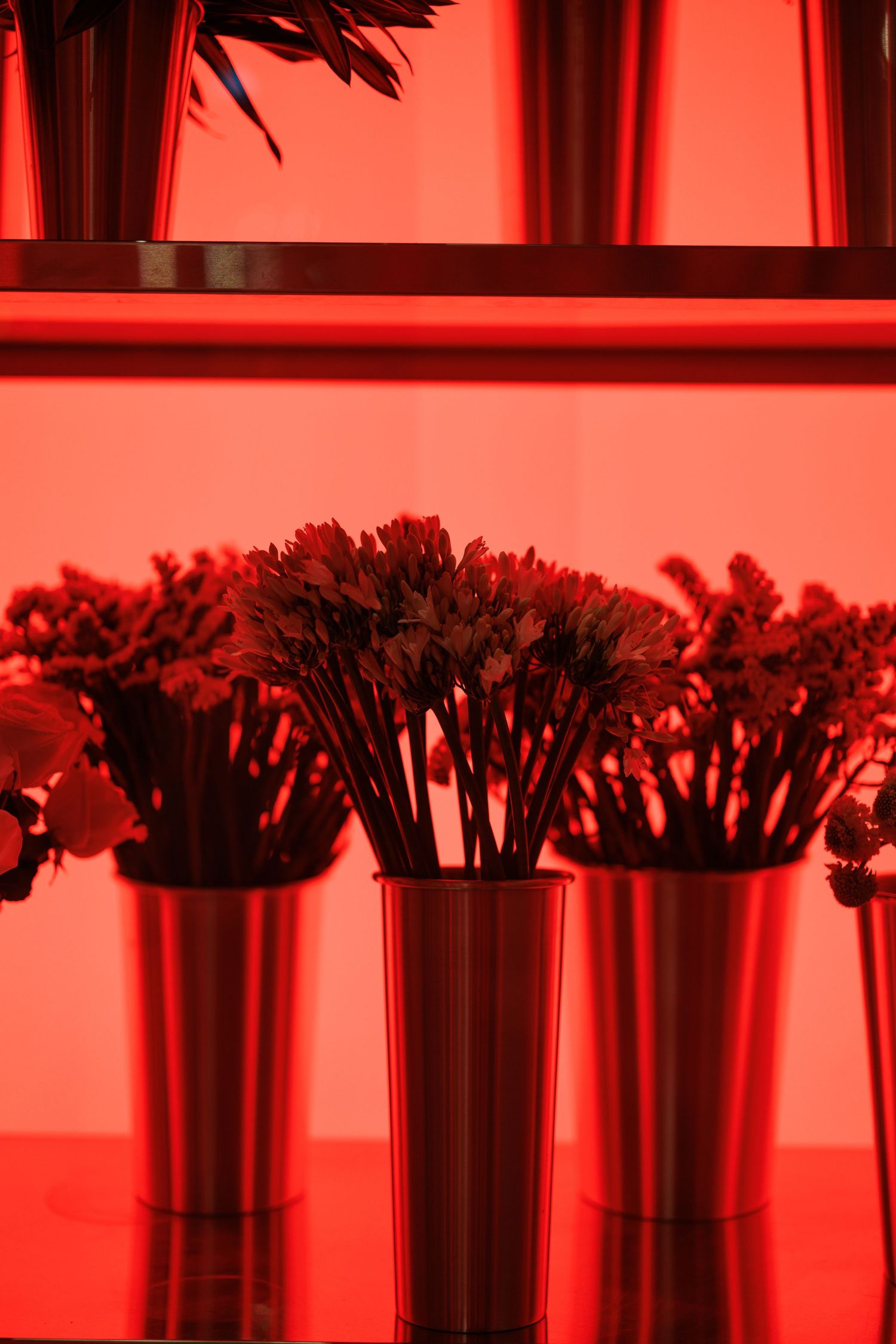 Row of flower vases backlit with vibrant red lighting creating a dramatic silhouette effect.
