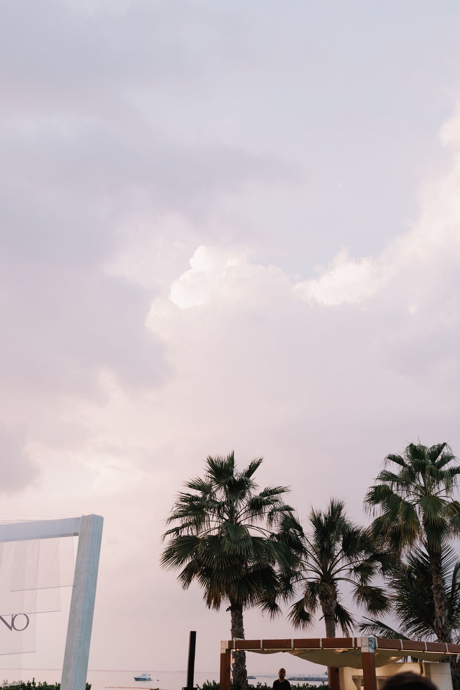 Palm trees silhouetted against a cloudy sky with white architectural elements.