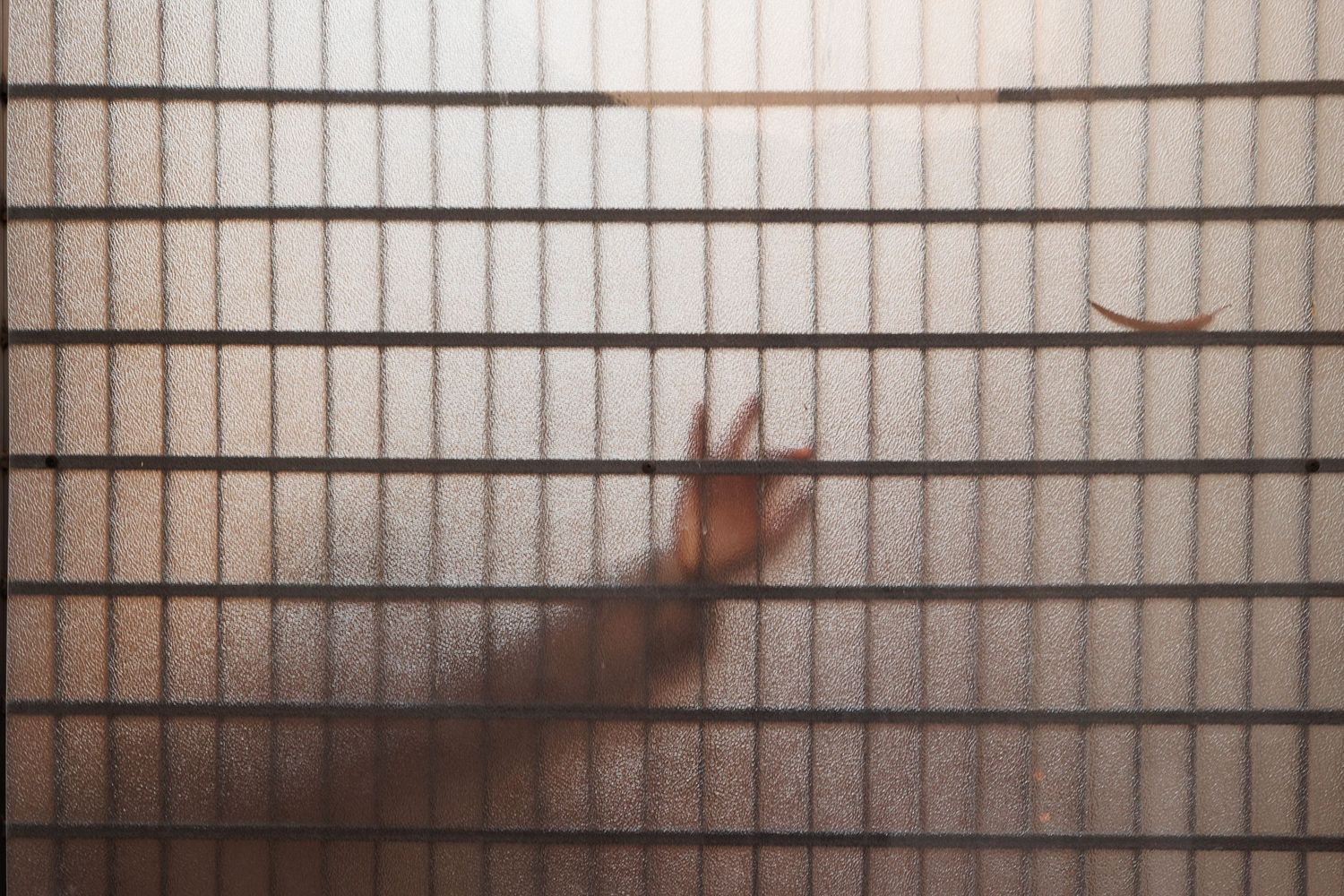 Minimalist grid pattern wall with soft lighting and shadow effects.