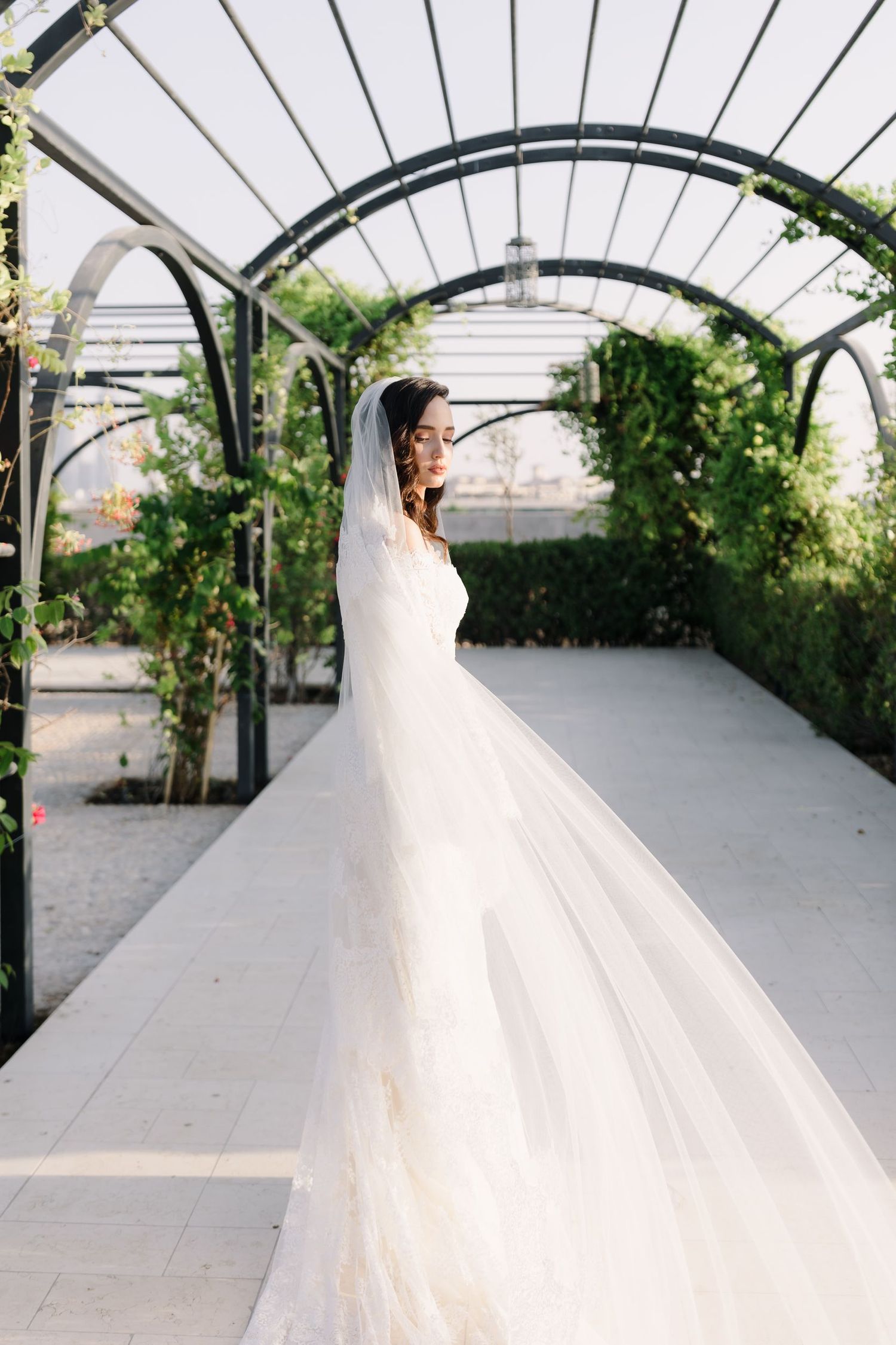 Wedding dress with flowing train photographed under an arched greenhouse structure.