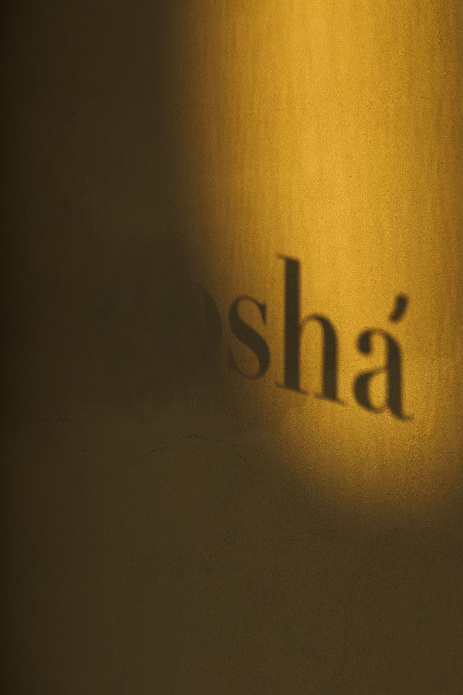 Abstract close-up of text shadows on golden-lit wall creating atmospheric mood.