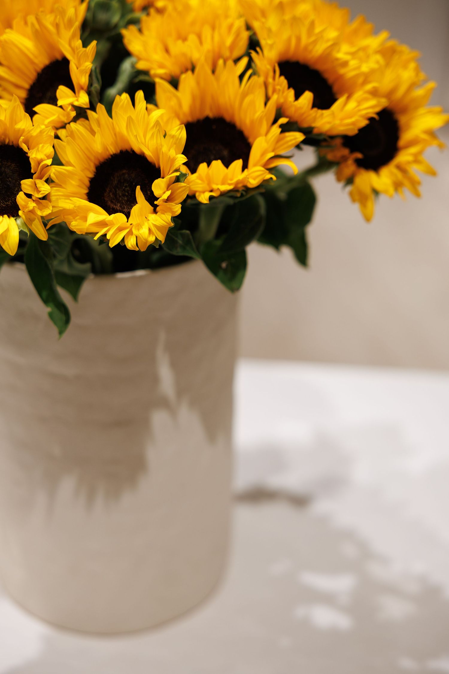 Bright yellow sunflowers arranged in a white ceramic vase.