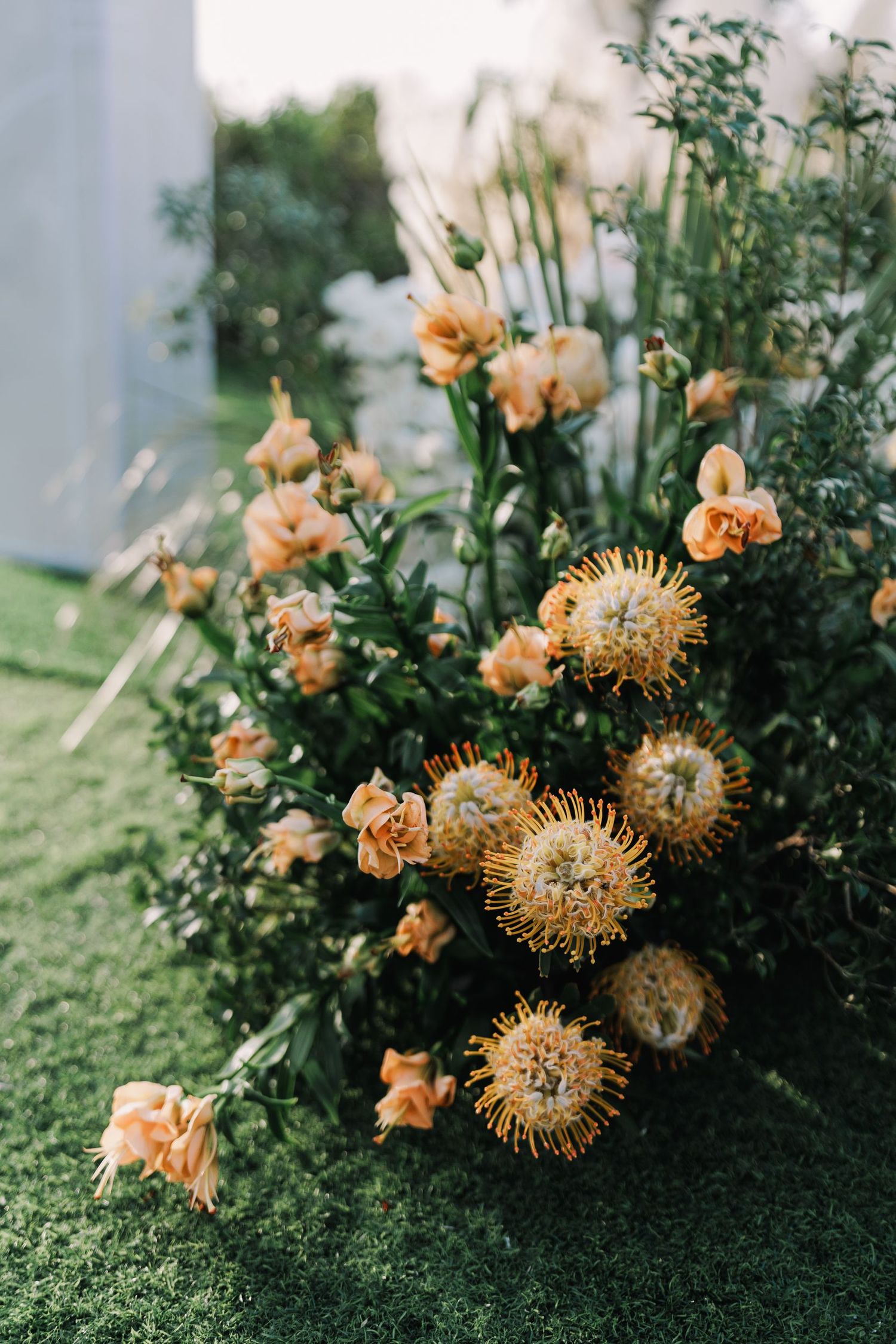 Peach-colored roses and dandelion-like flowers bloom against lush green foliage in a garden setting.