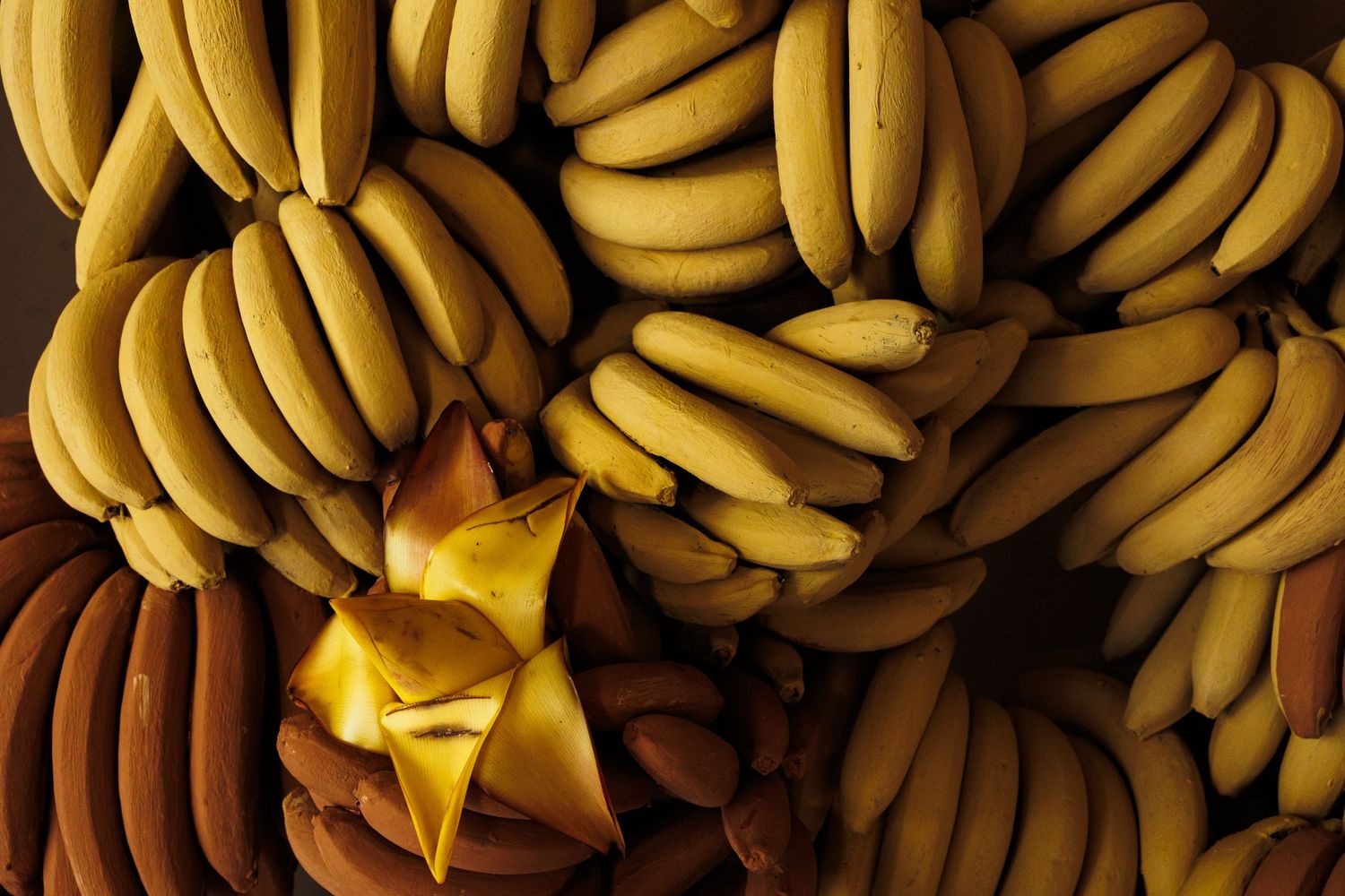 Close-up view of clustered yellow bananas creating natural pattern.