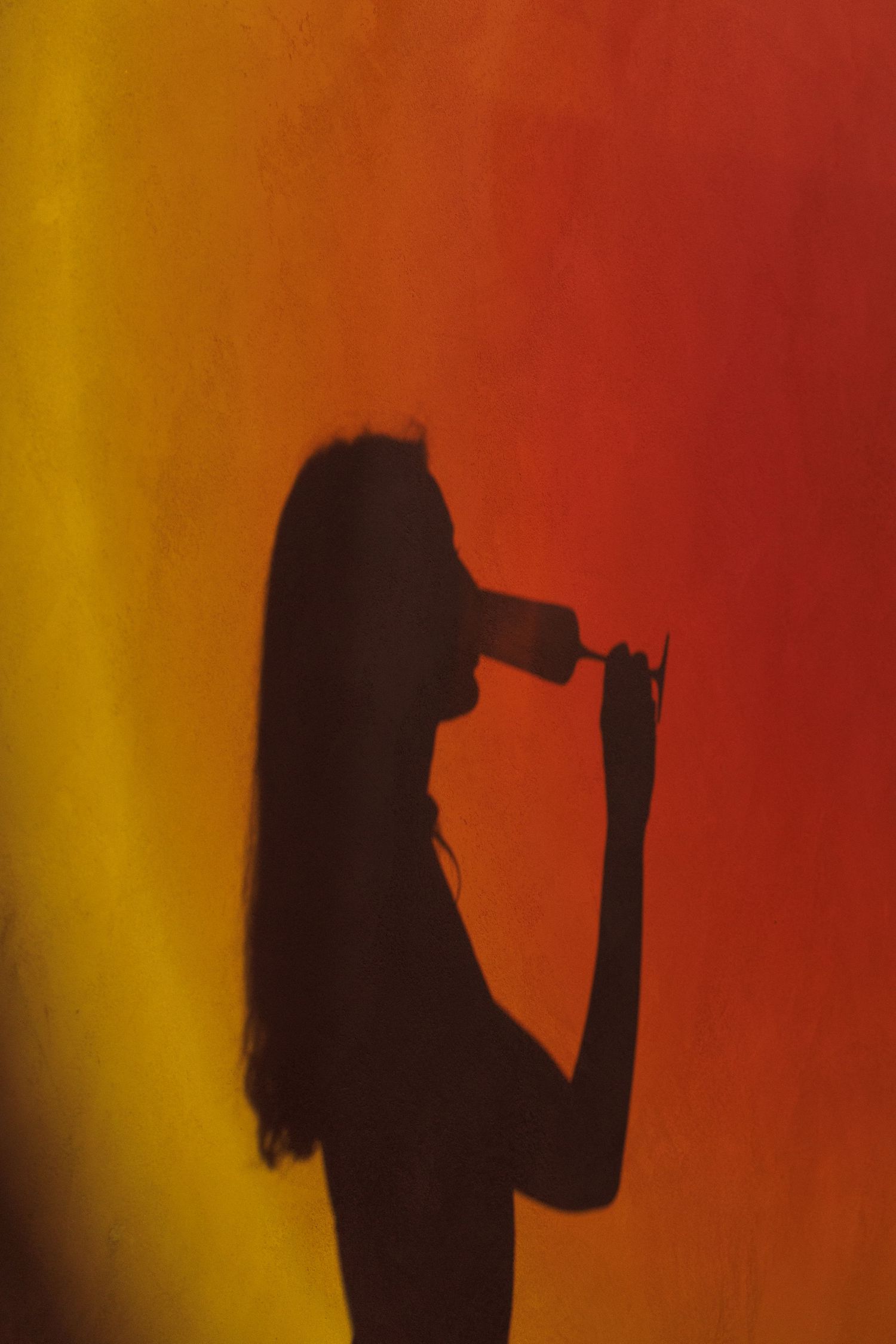 Silhouetted figure against vibrant red and yellow gradient background in artistic portrait series.