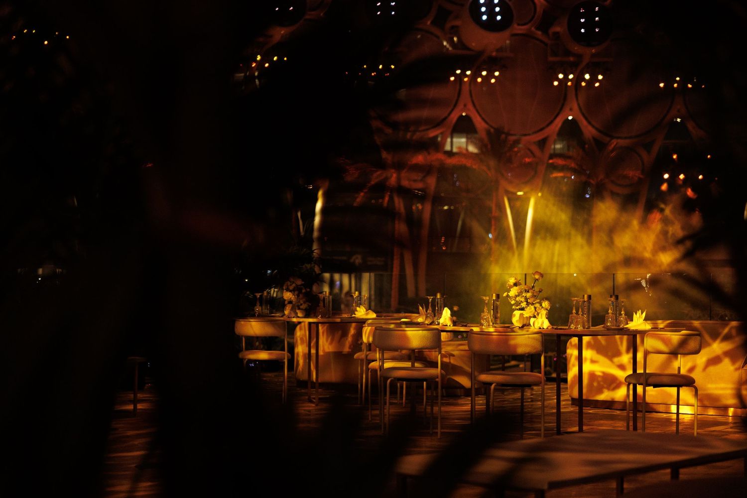 Nighttime view of an illuminated outdoor venue with warm lighting and palm trees.
