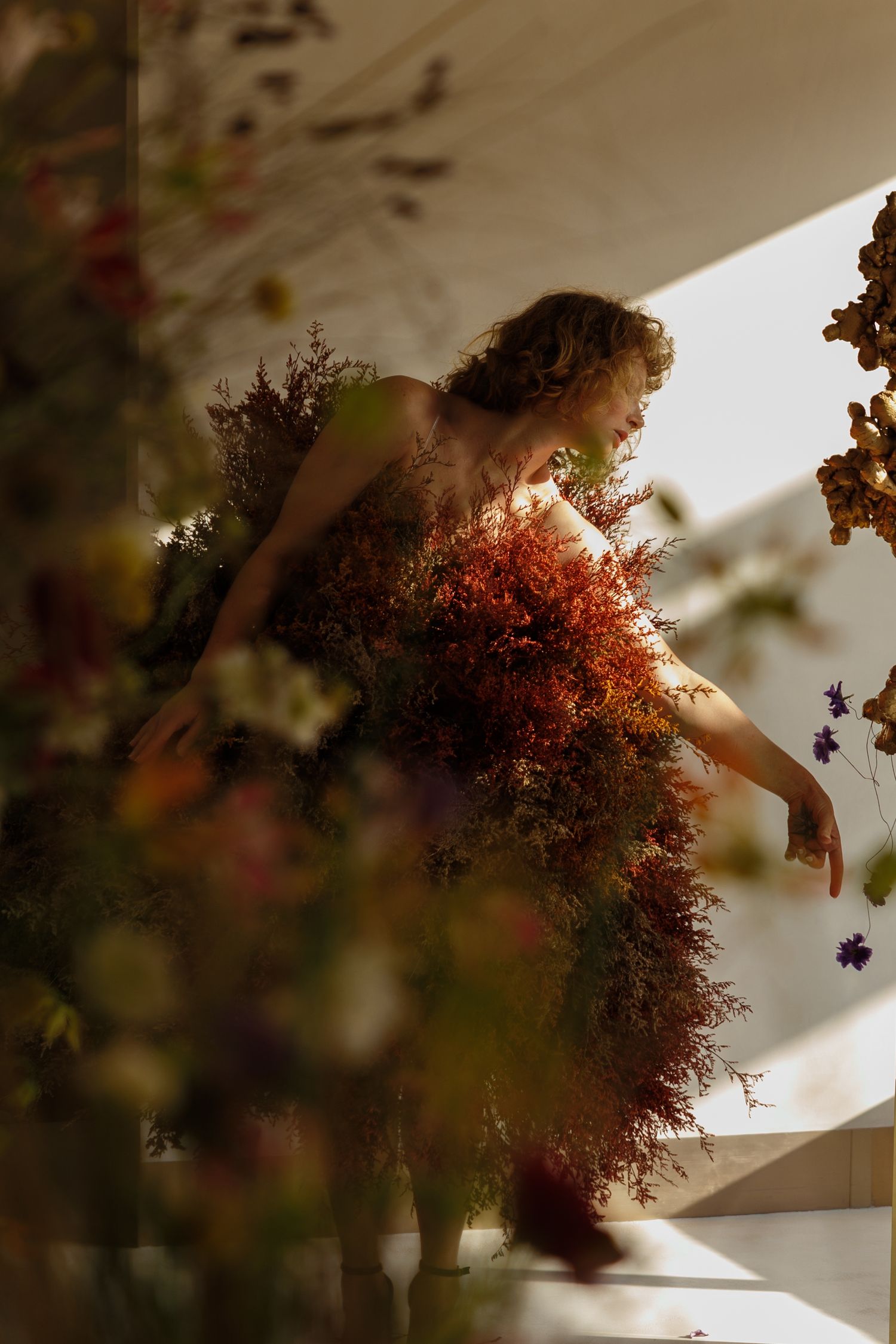 Ethereal photograph featuring burgundy dried flowers and dramatic lighting.