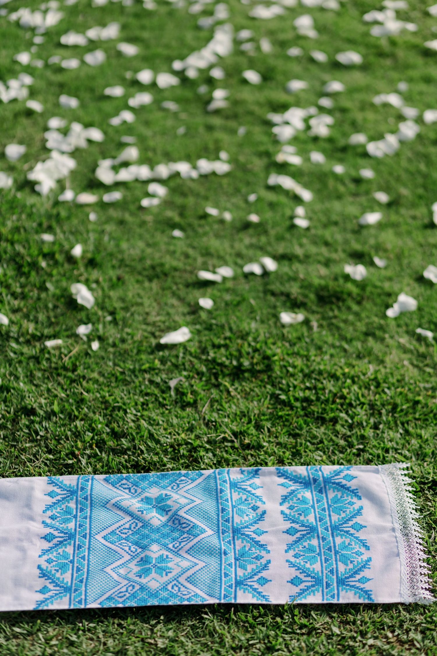 White flower petals scattered on green grass with a blue patterned fabric border.