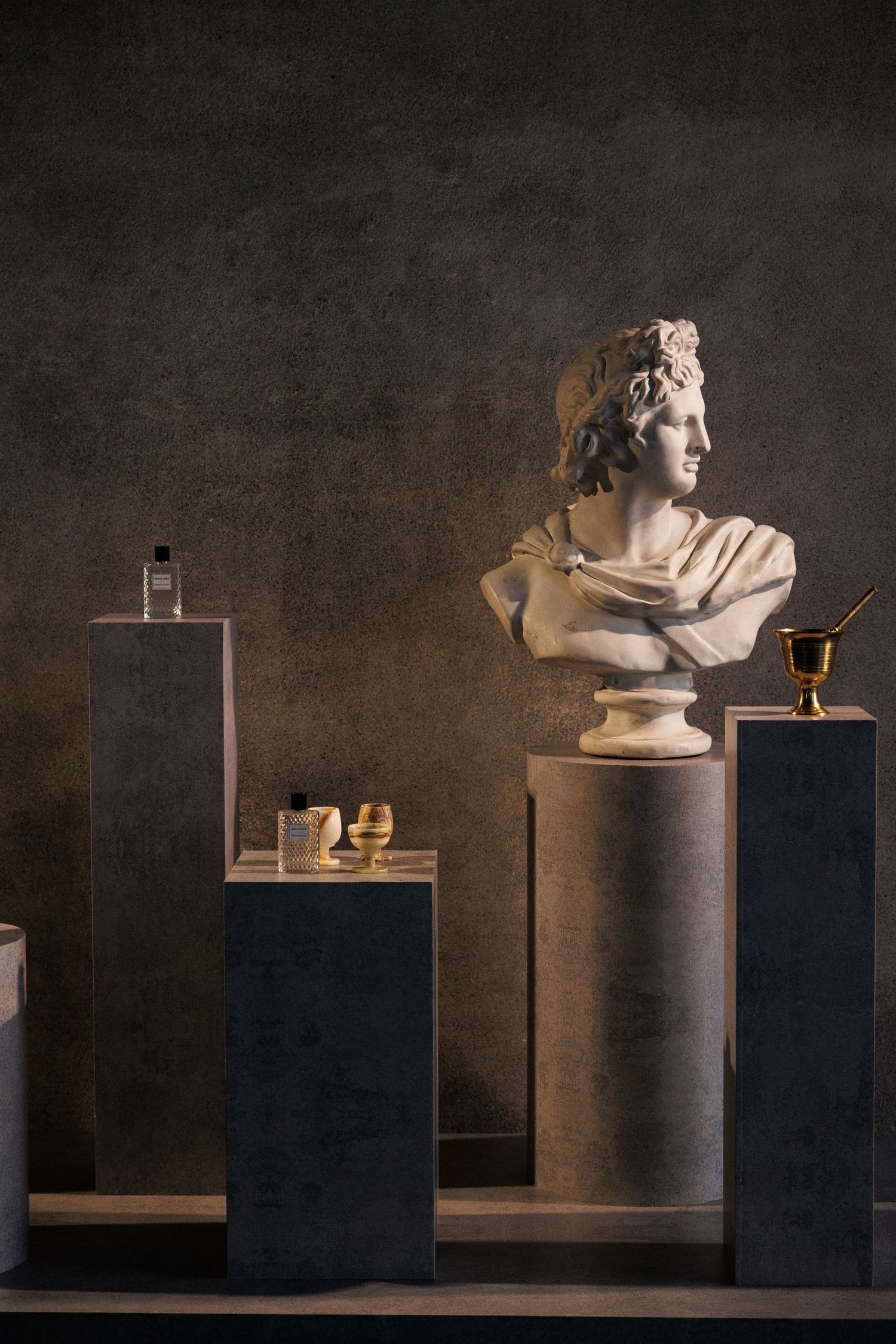 Classical busts and sculptures arranged on dark pedestals in an artistic display.
