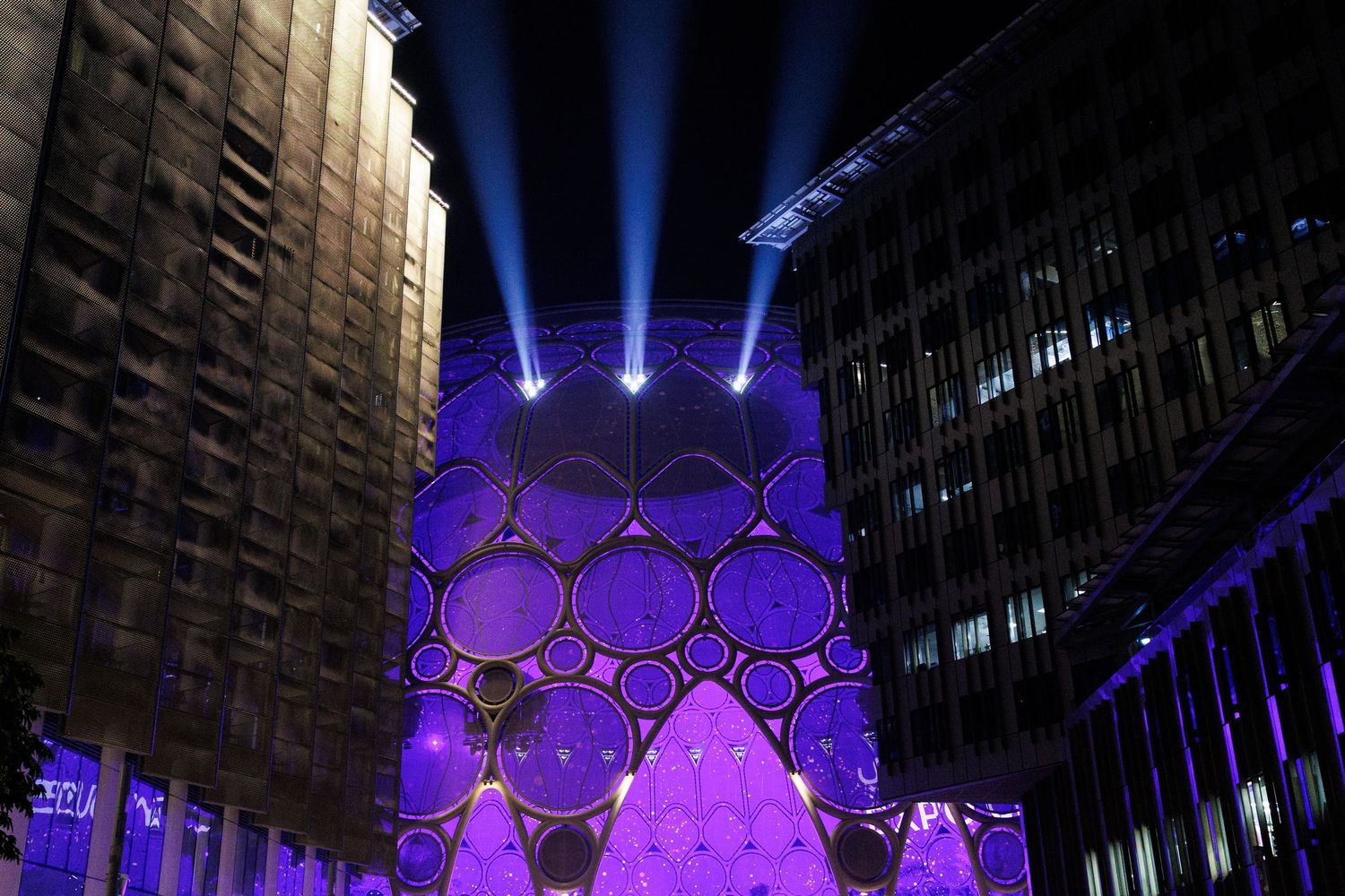 Purple-lit architectural facade with dramatic upward lighting creates a striking nighttime display.