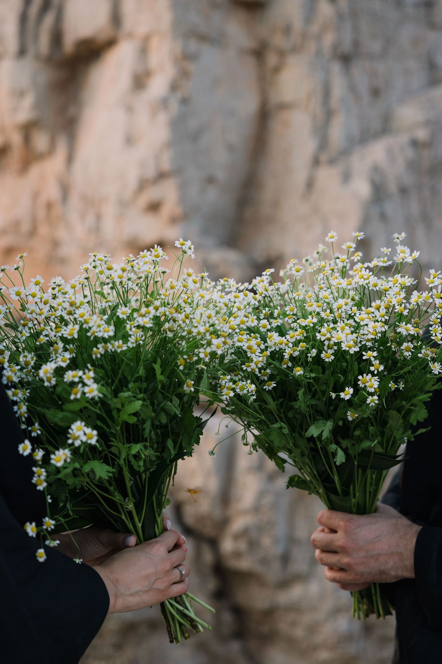 Close-up of hands holding matching bouquets of white wildflowers against a rocky backdrop.