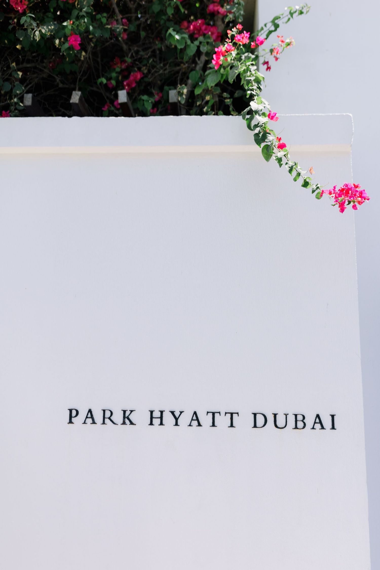 Park Hyatt Dubai signage with pink bougainvillea flowers framing the white wall.