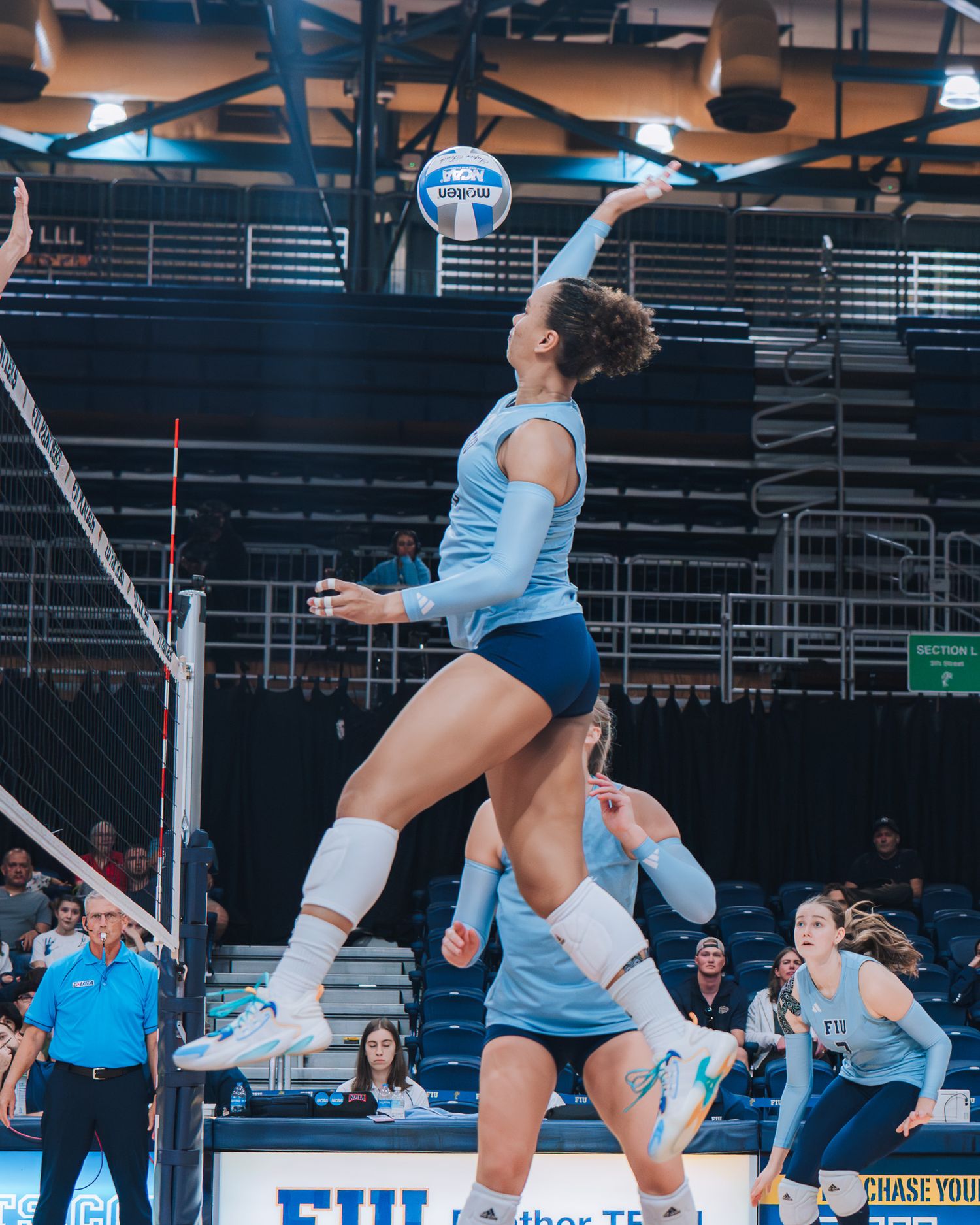 Volleyball player