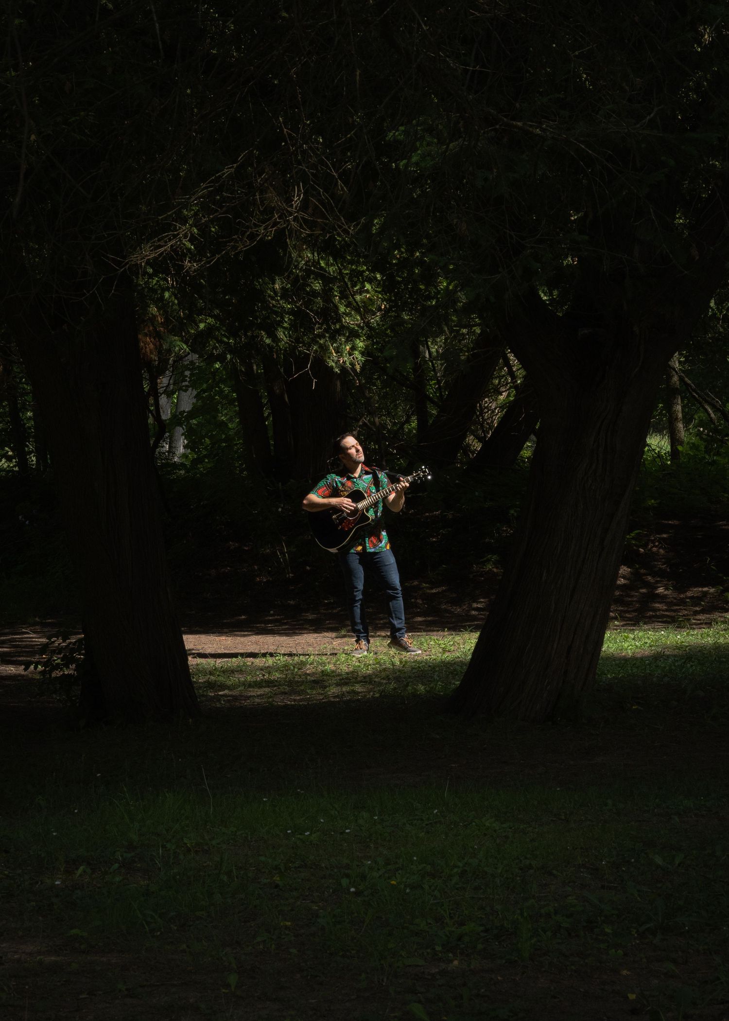 Silhouetted figure with guitar walking through a shaded wooded area.