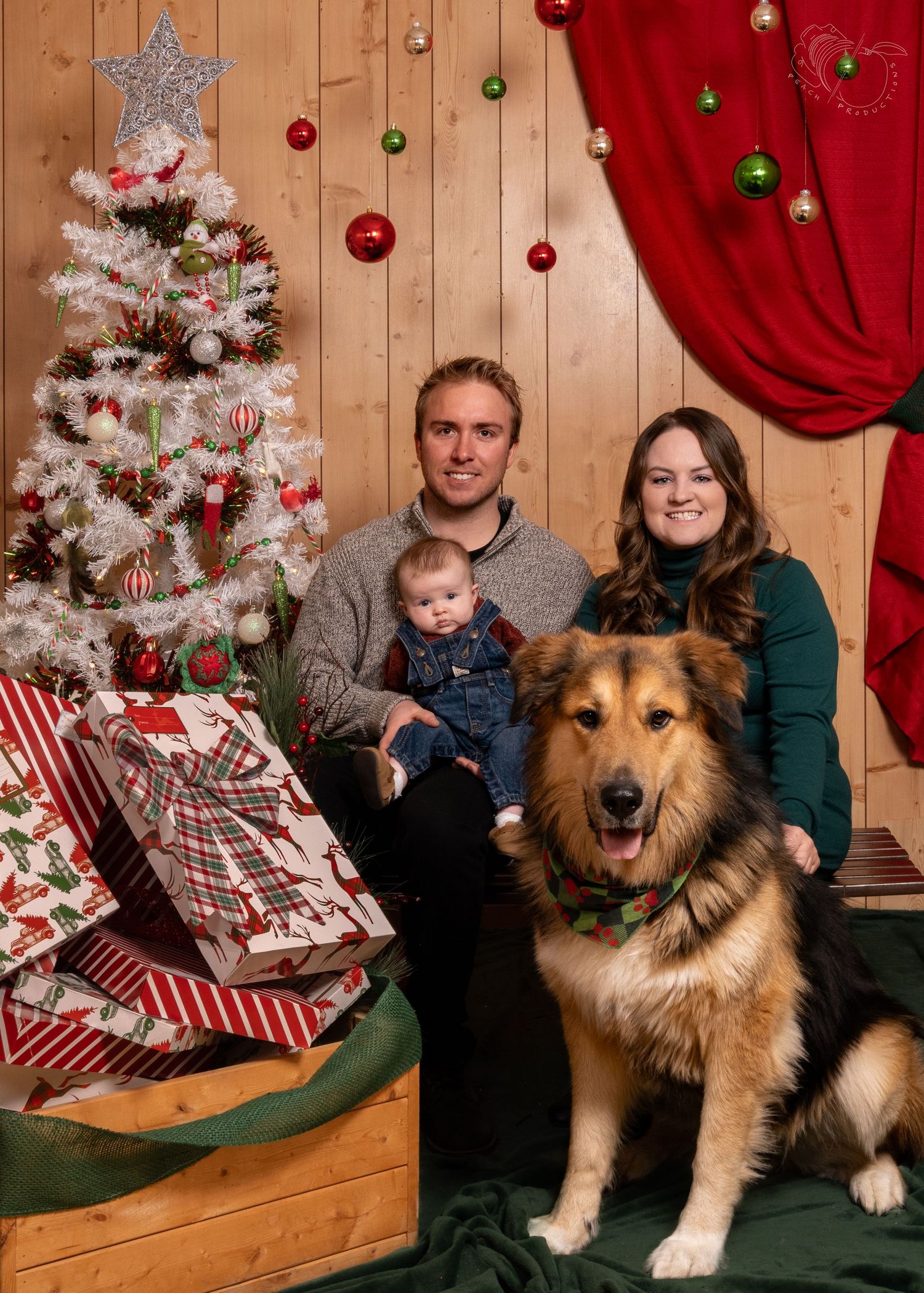 Holiday family portrait with Christmas tree, presents, and large fluffy dog.