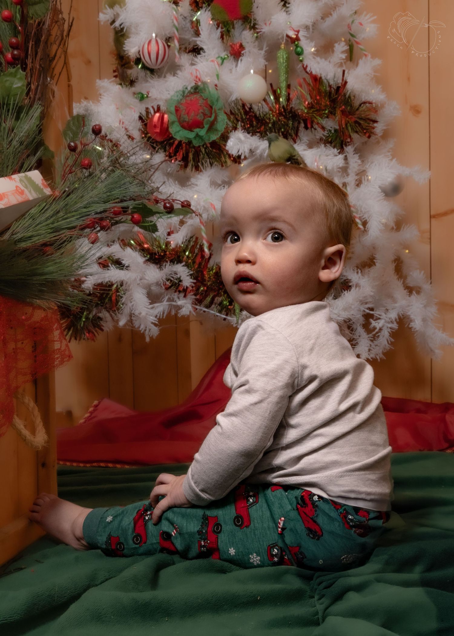 A small child in holiday clothing reaches towards a white Christmas tree decorated with red ornaments.