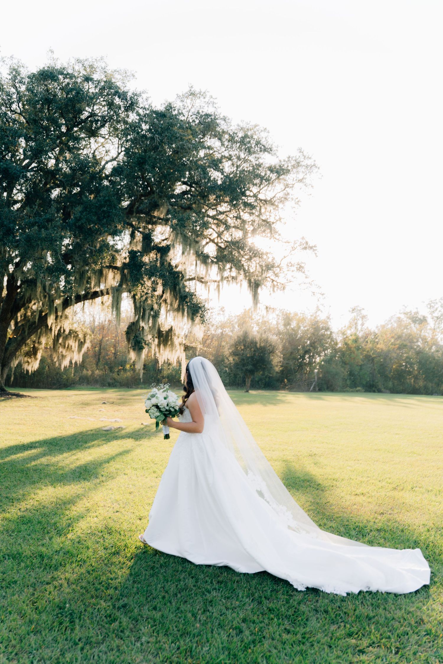 Flowing white wedding dress with long train photographed in golden sunset light under oak trees.