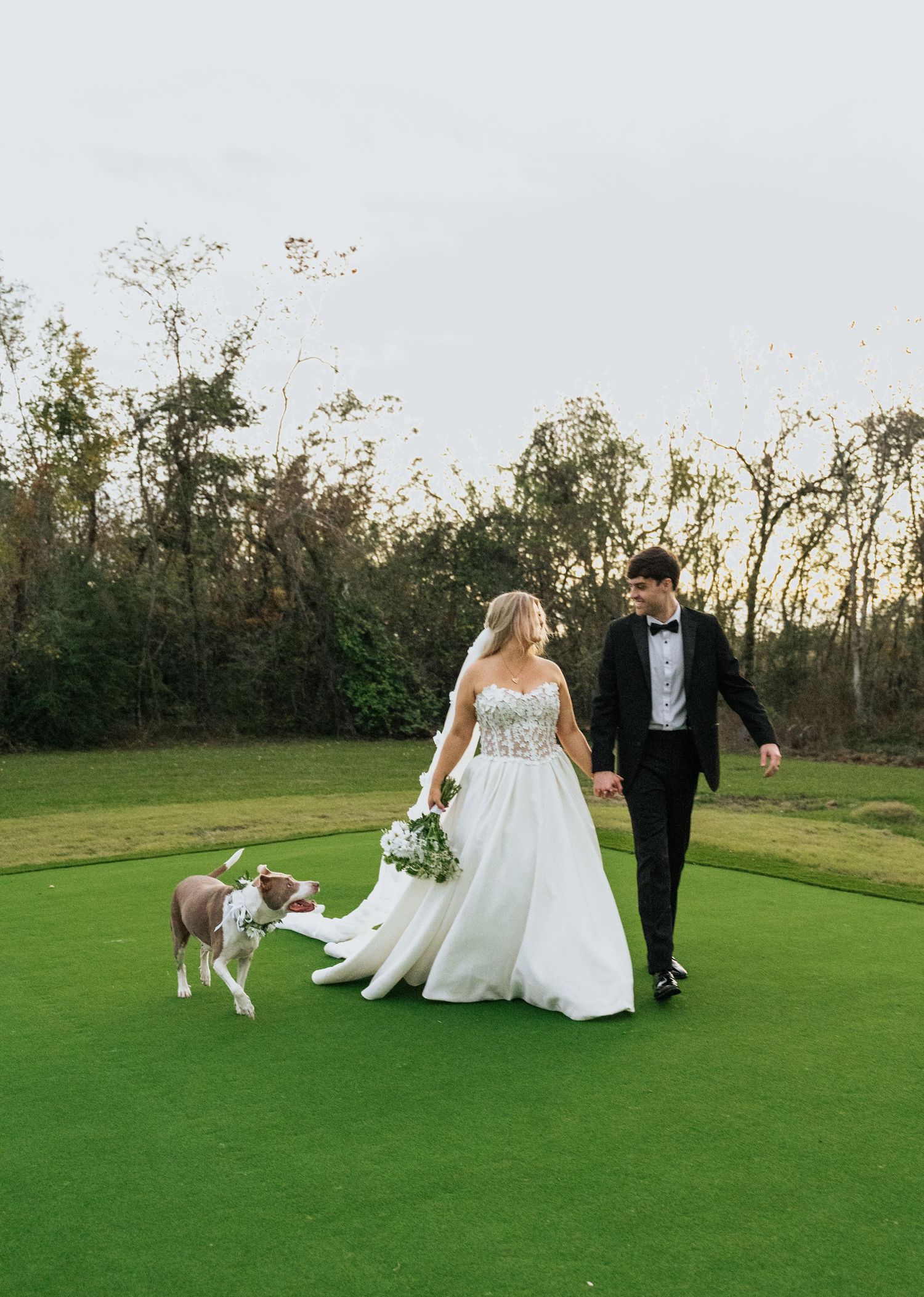 Wedding couple on a golf course with playful dogs joining the photoshoot.