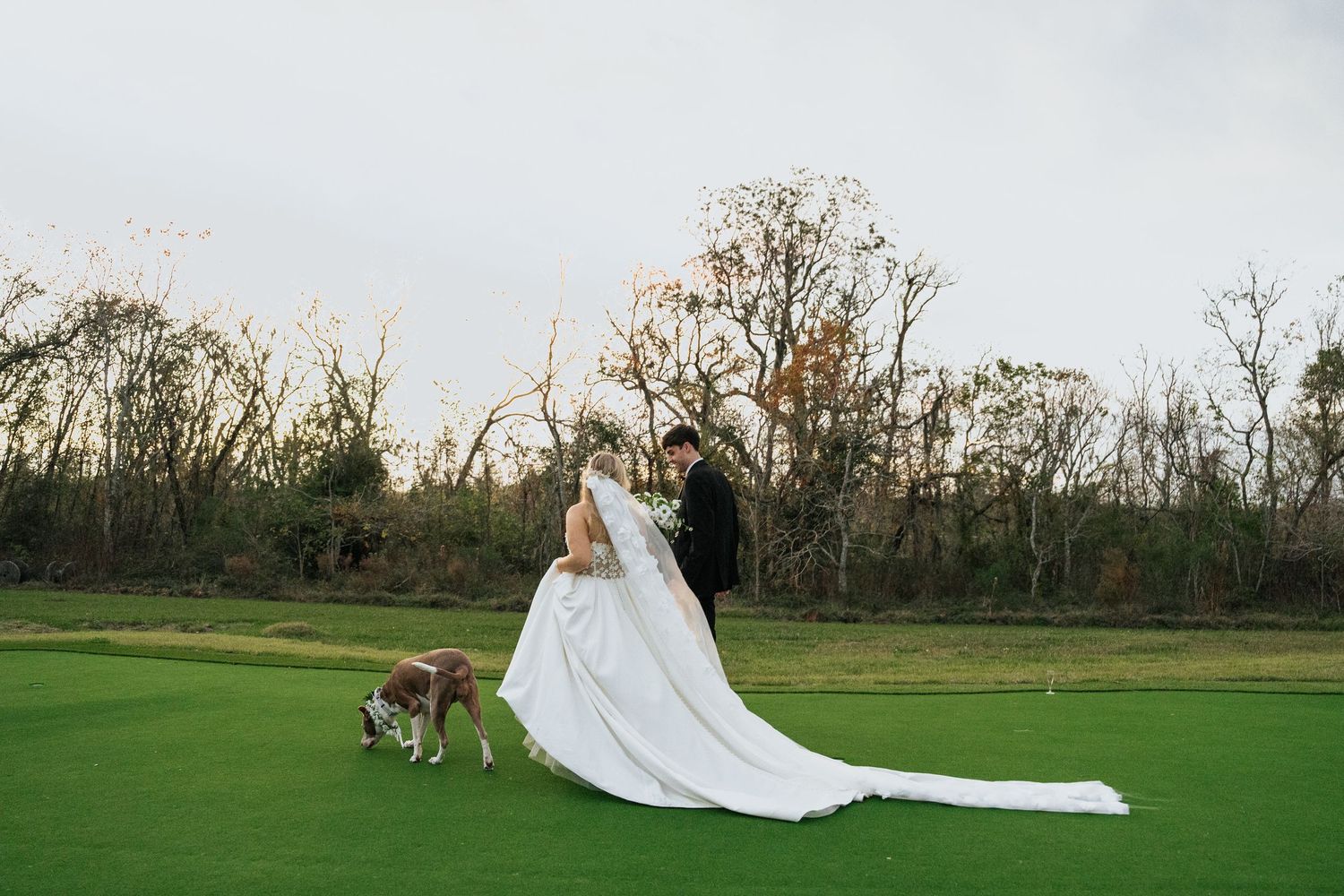 Wedding couple portraits in an open field with dramatic flowing veil and natural backdrop.