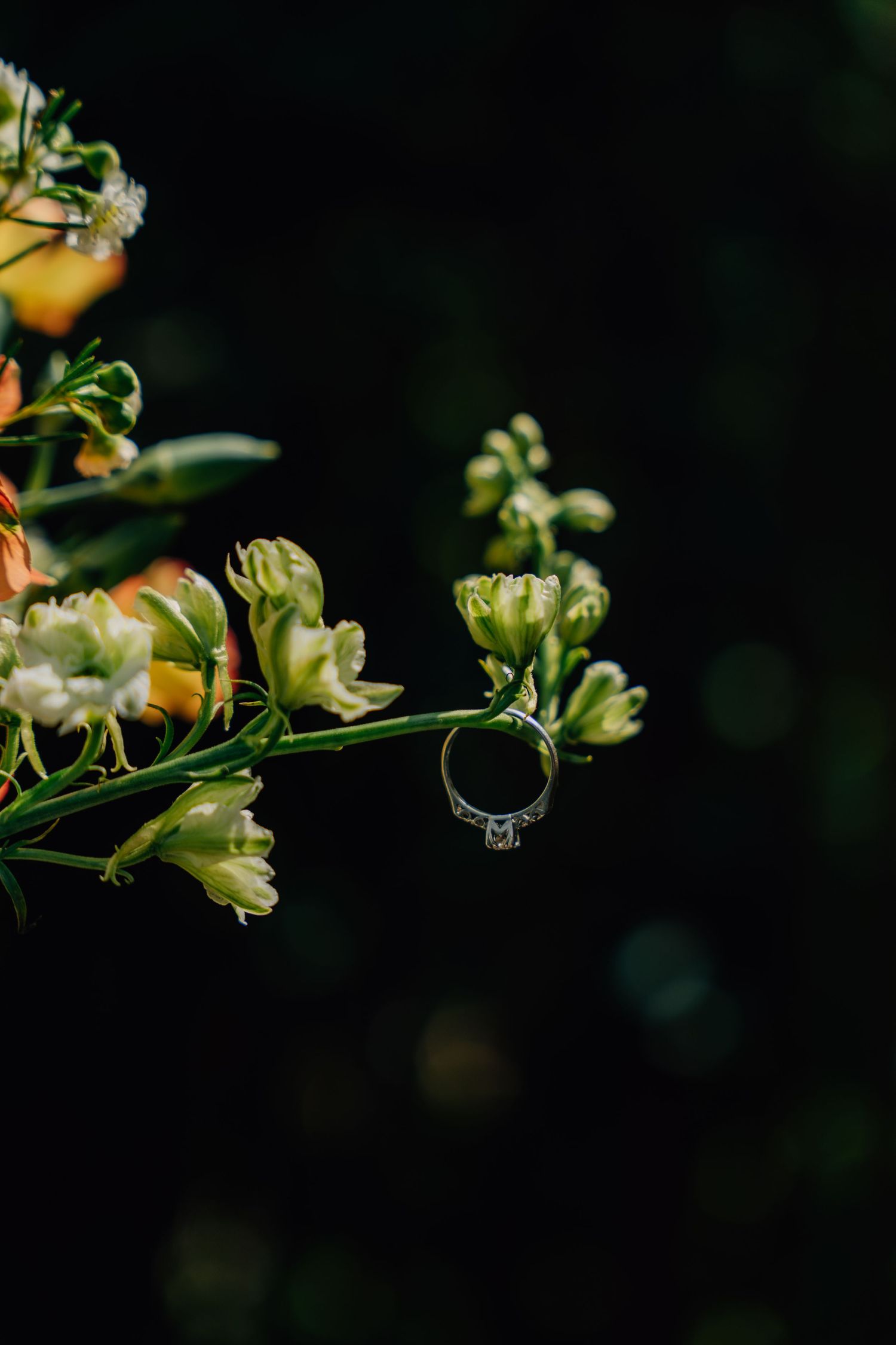 Wedding ring detail shot with delicate flowers in dark background.