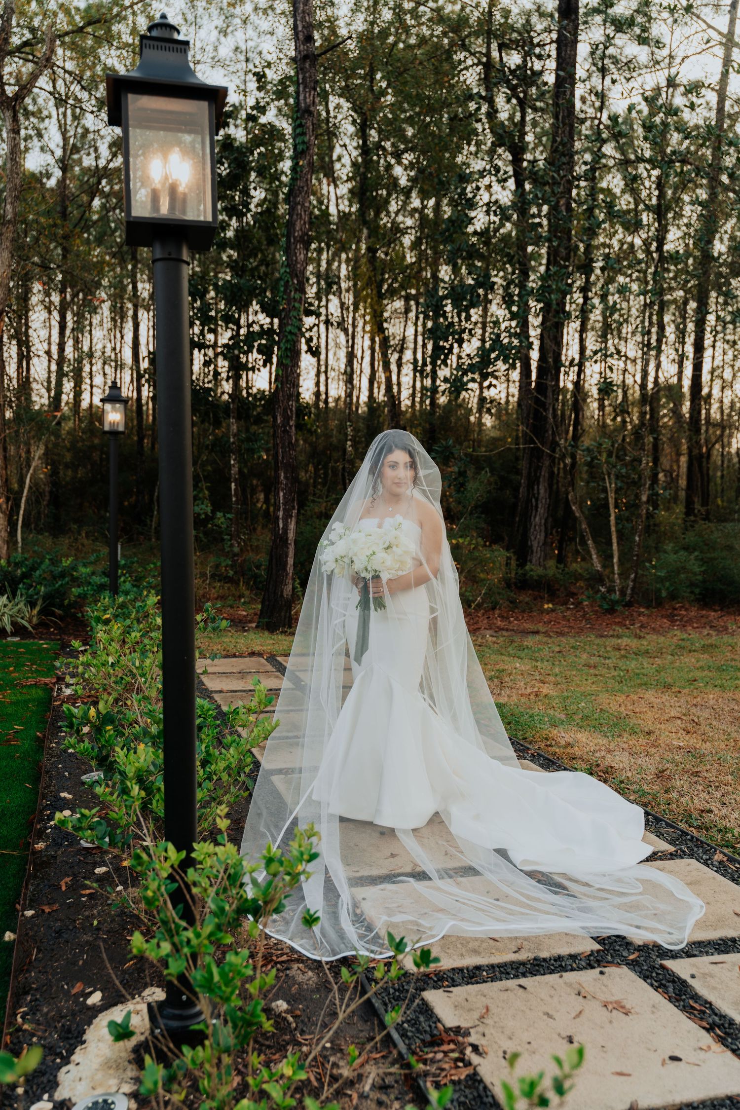Bride in flowing cathedral veil poses among trees for dramatic bridal portrait.