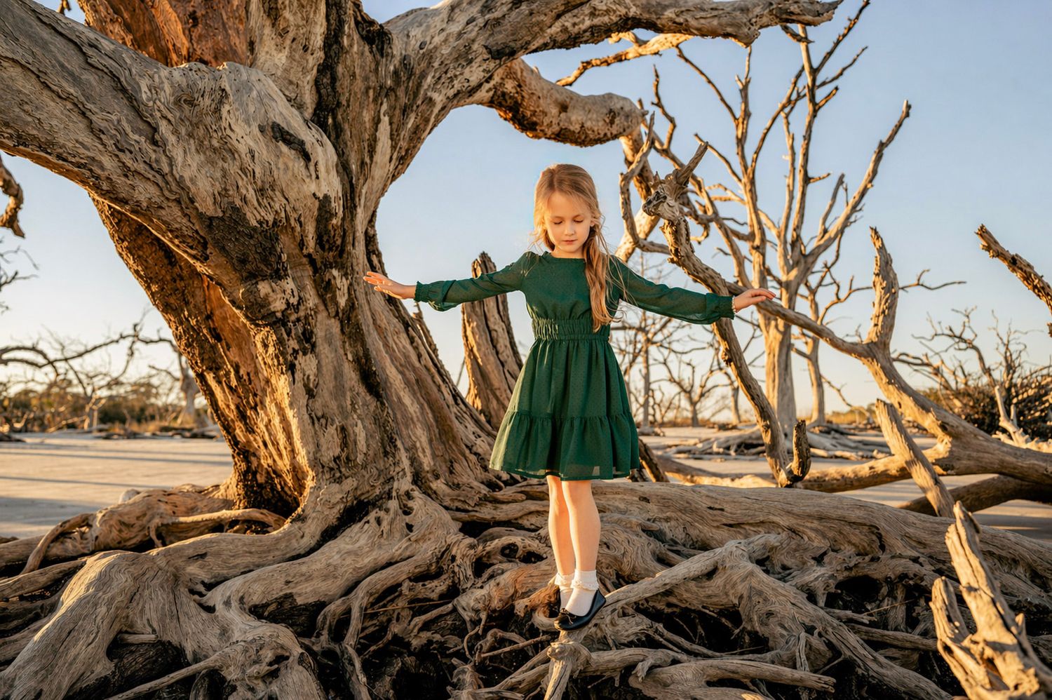 A young girl in a green dress balances on driftwood roots of a large weathered tree on a sunny beach.