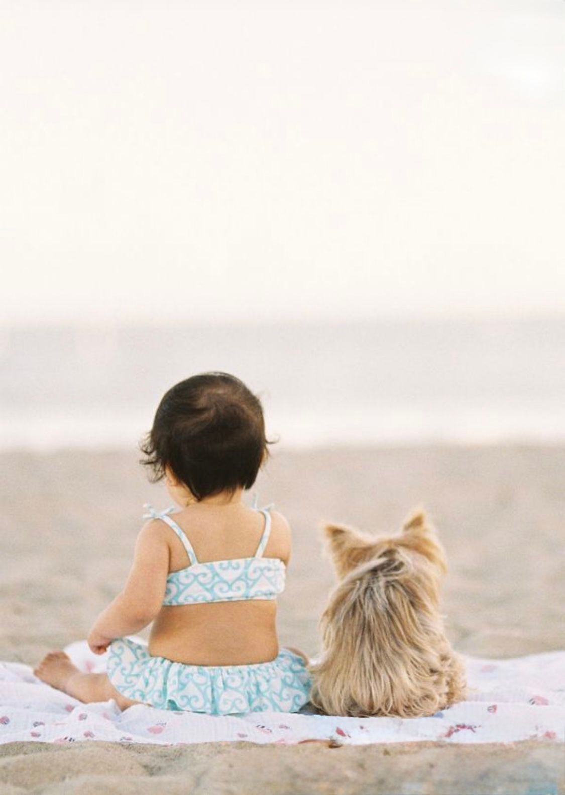 Person and dog relaxing together on a blanket at the beach.