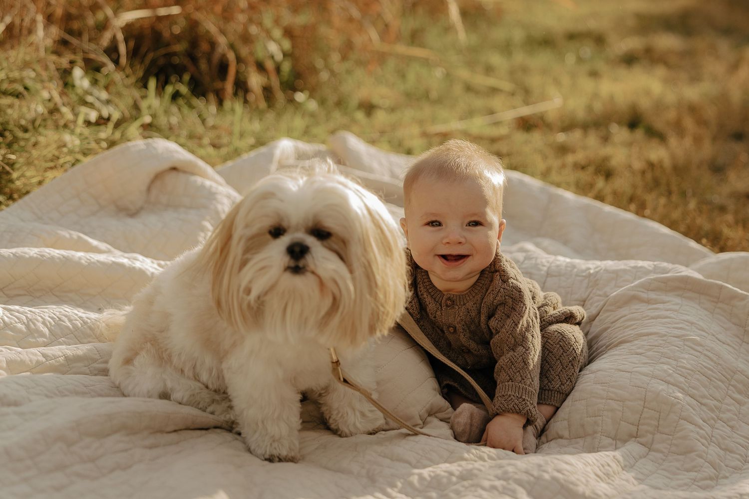 Baby and fluffy white dog relaxing together on blanket in warm sunlight.