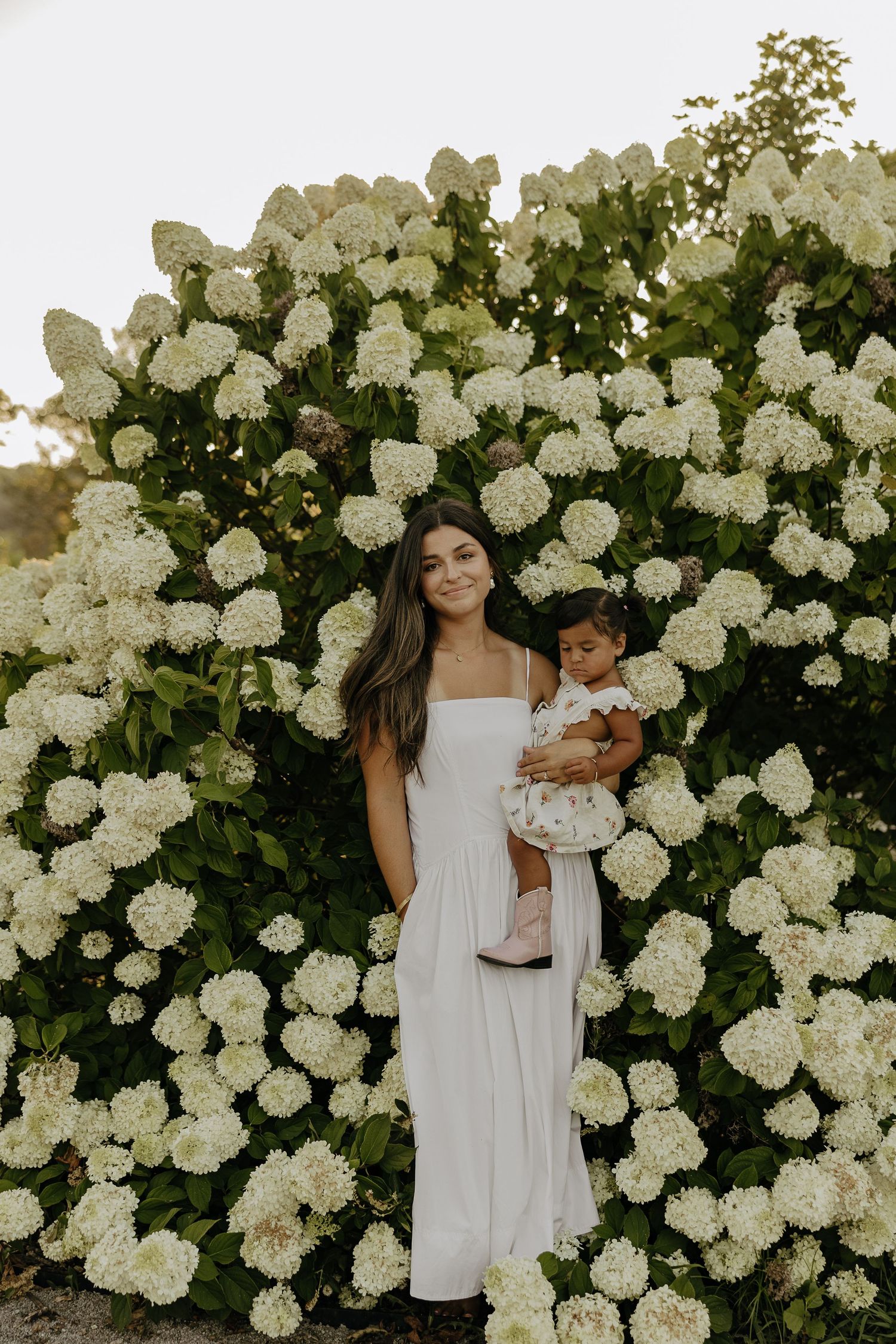 Beautiful white hydrangea bushes create a stunning backdrop for a summer photoshoot.