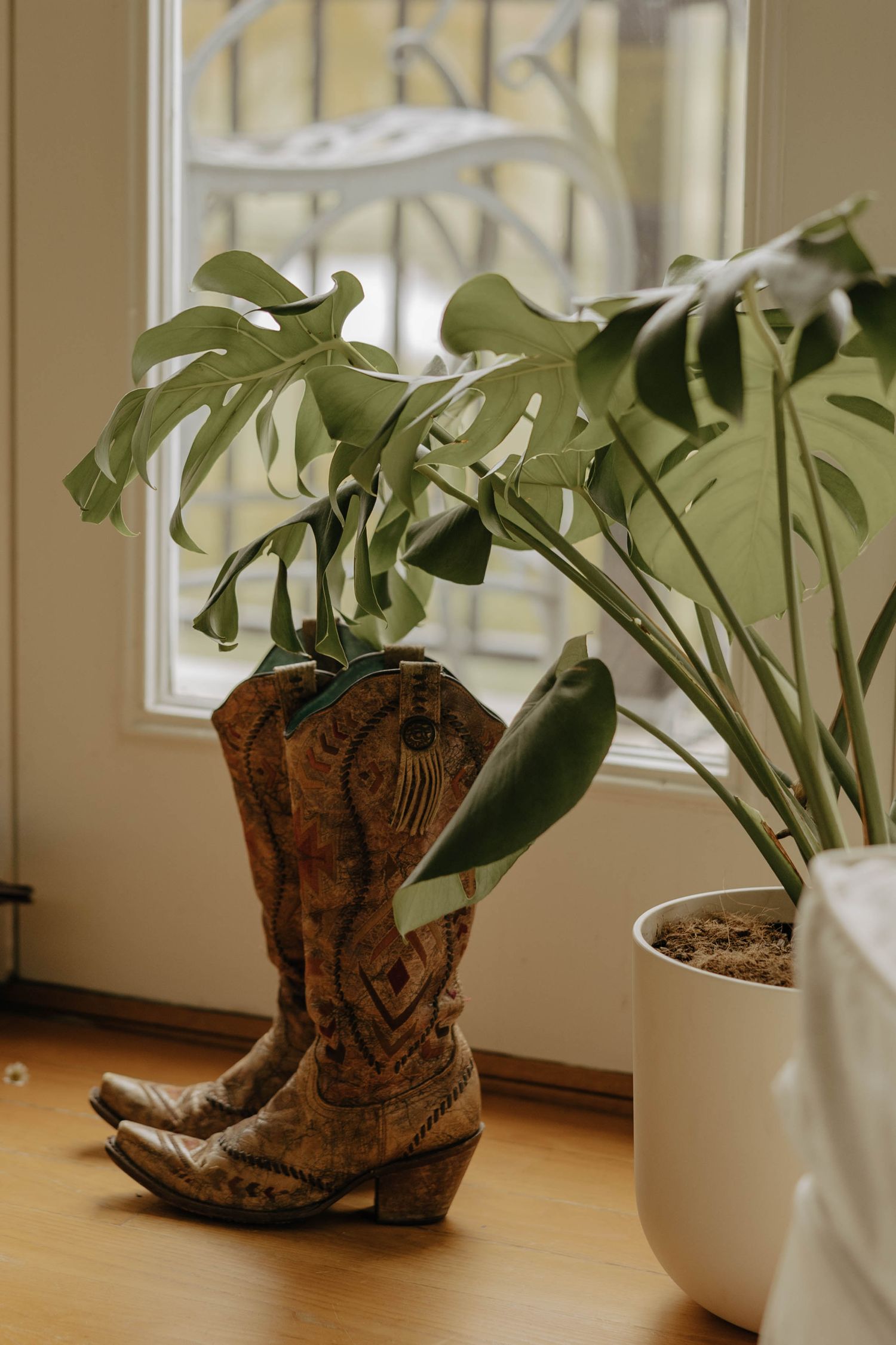 Rustic clay boots planters with green monstera leaves displayed along a sunny windowsill in a minimalist interior.
