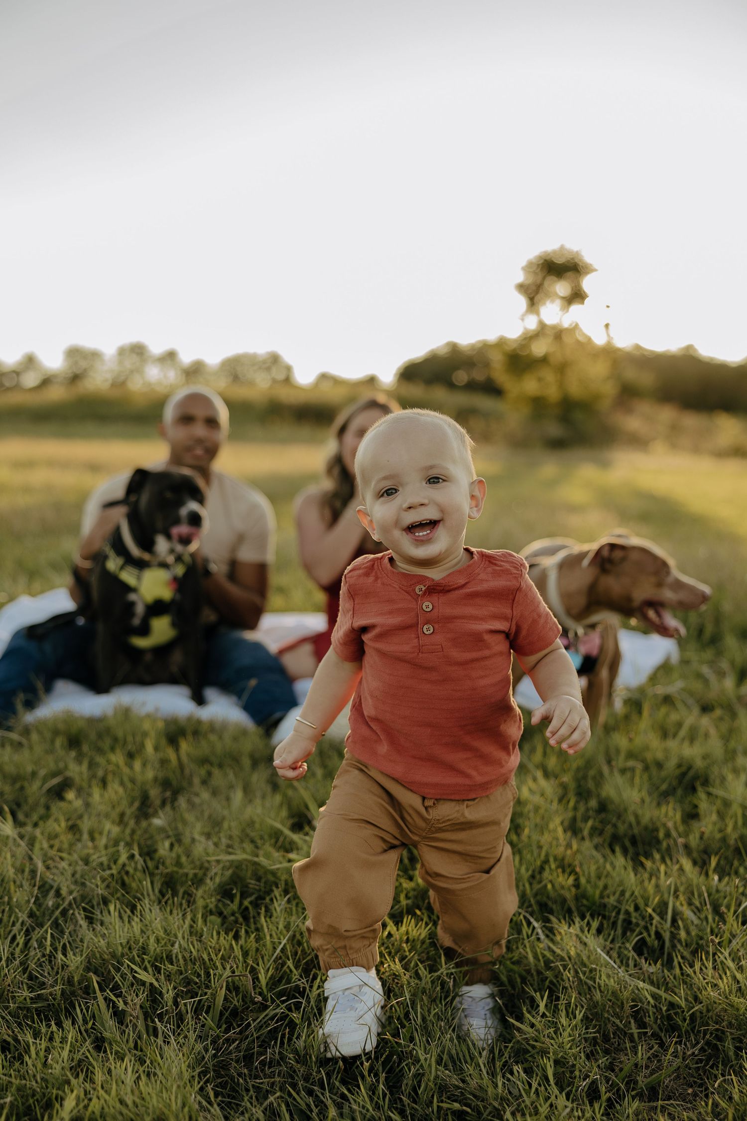 Family relaxing in a grassy field with dogs during sunset.