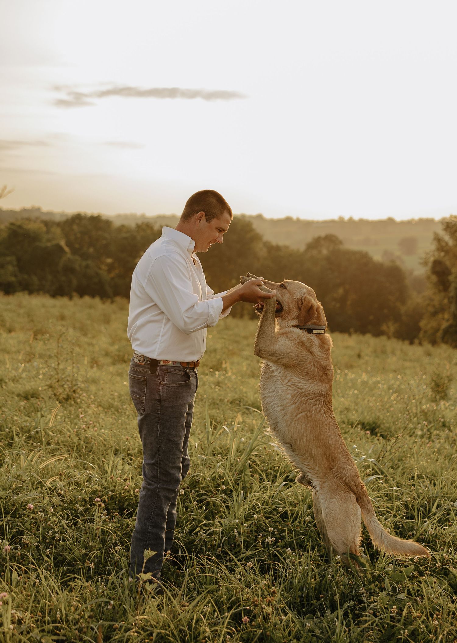 A person plays with their golden retriever dog in a grassy field at sunset.