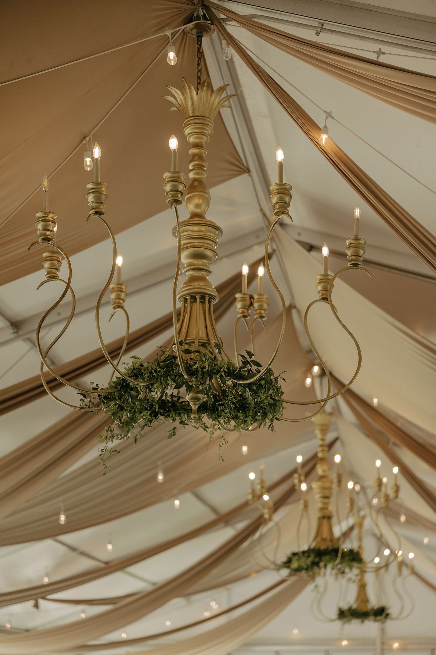 Elegant draped fabric ceiling with ornate gold chandeliers and greenery at a wedding reception.