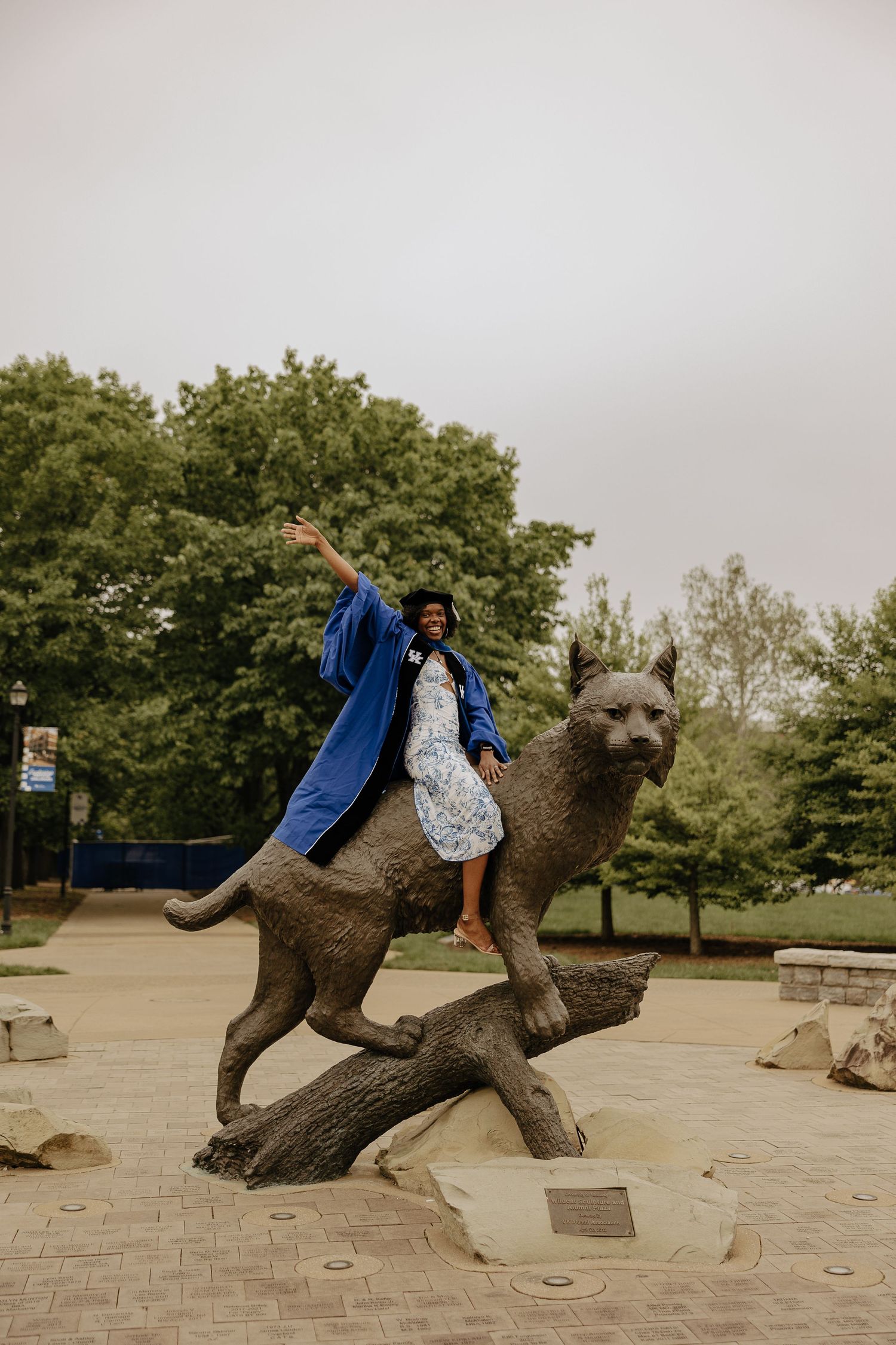 Bronze wildcat statue in dynamic pose displayed on stone pavement with trees in background.