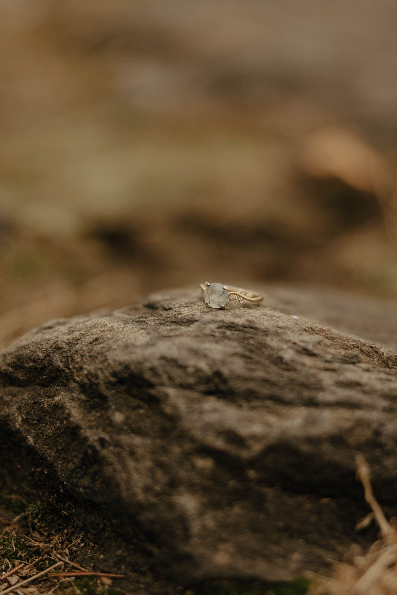 Close-up macro shot of textured rock surface with shallow depth of field.