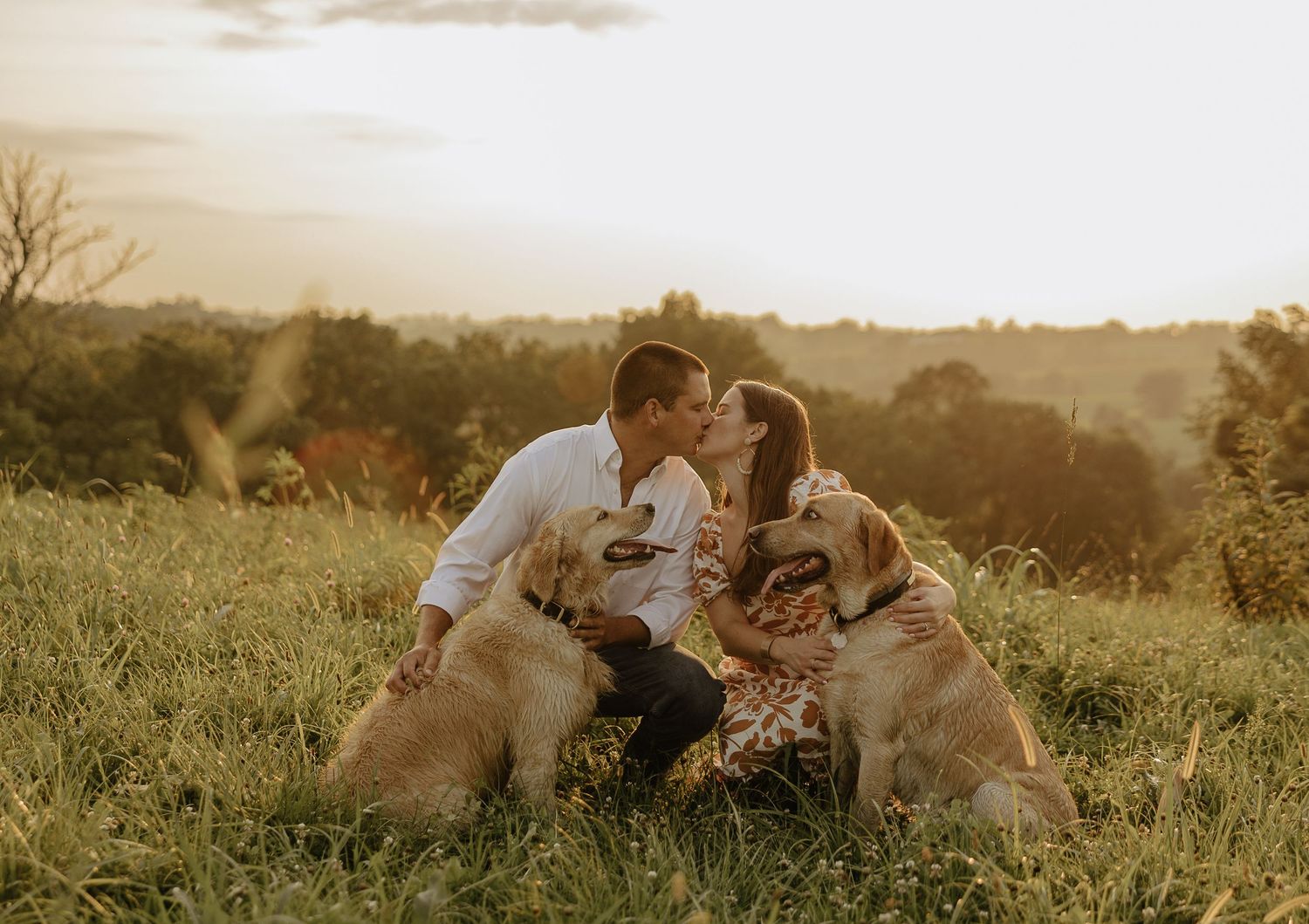 Three golden retrievers play with their owners in a grassy field at sunset.
