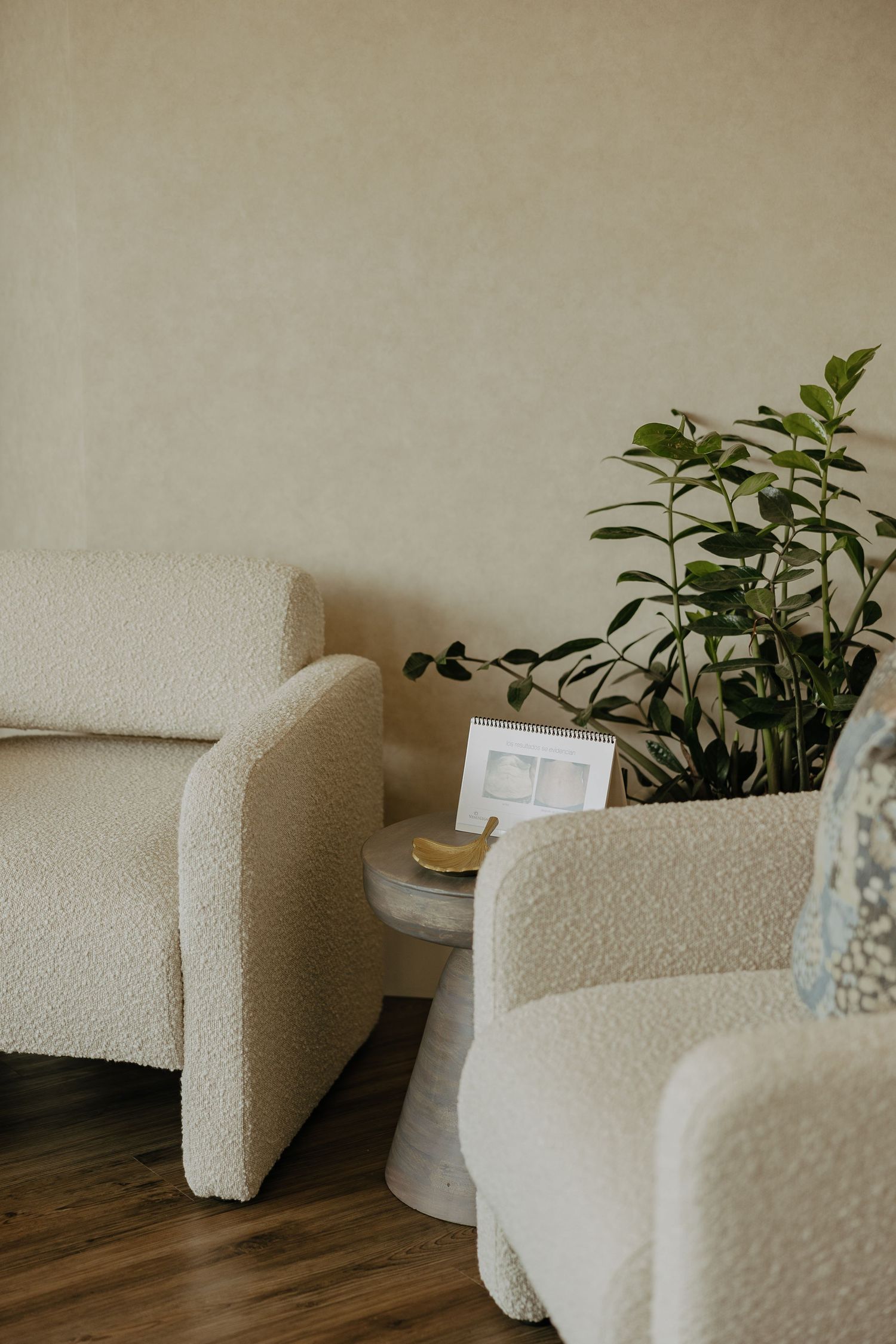 Modern white boucle armchair and sofa with green plant in minimalist interior setting.