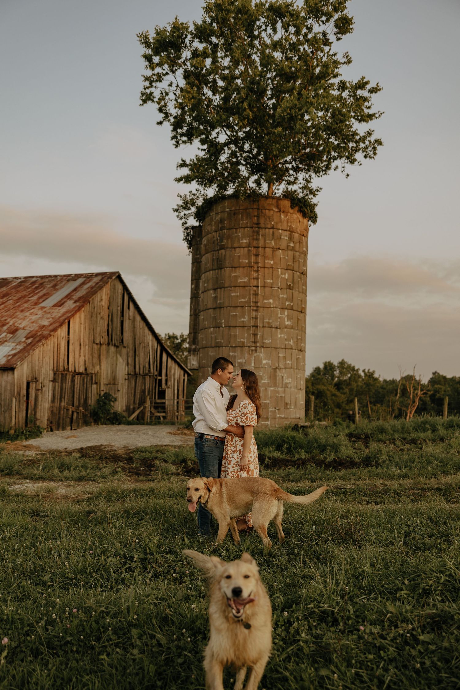 Golden retriever joins couple for outdoor photos by vintage farm buildings.