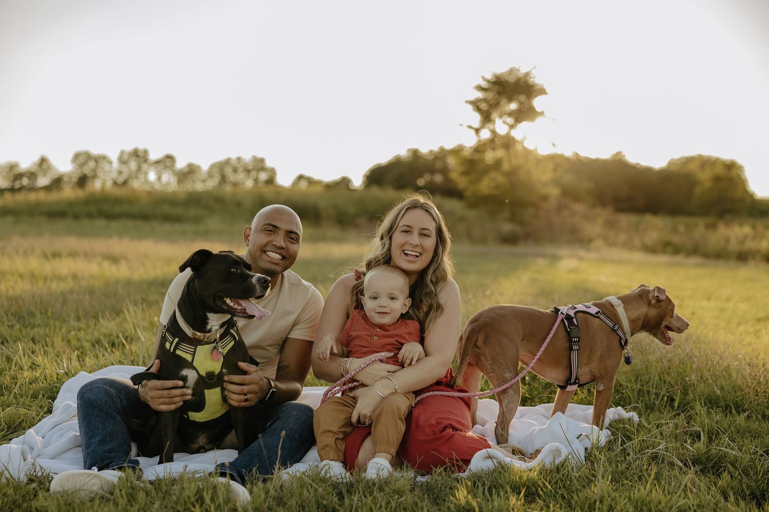 Family and pets enjoying quality time outdoors in a sunny meadow.