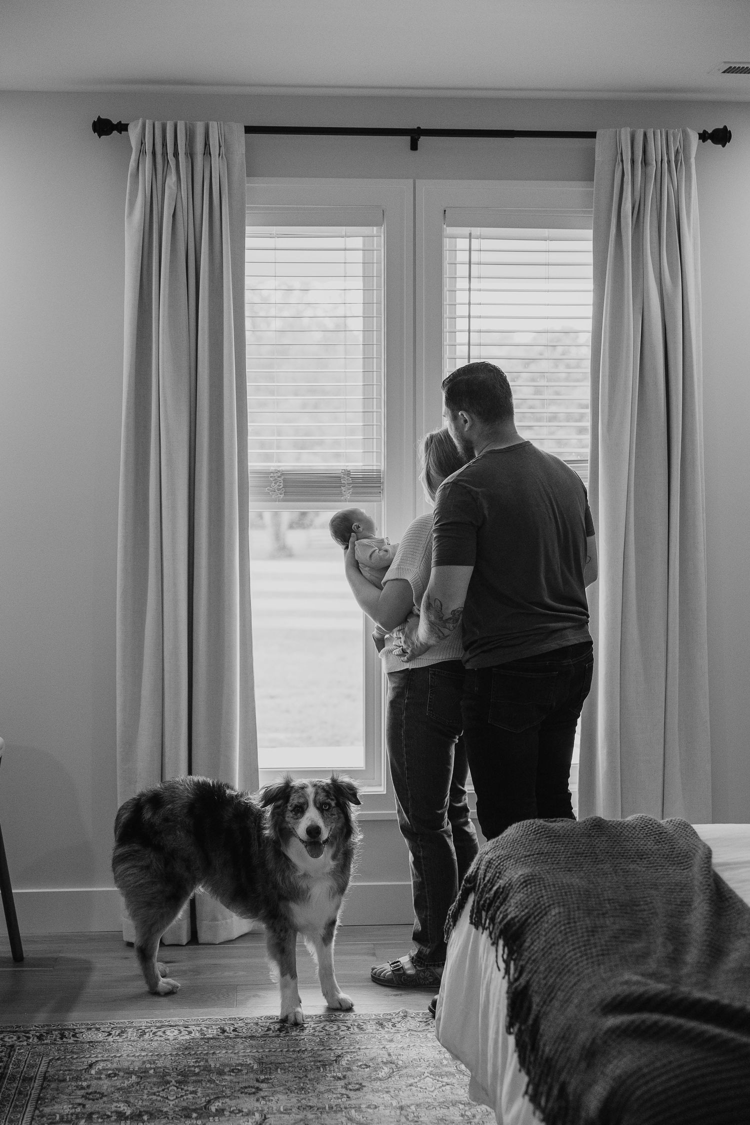 A dog watches its family through window curtains in black and white photography.