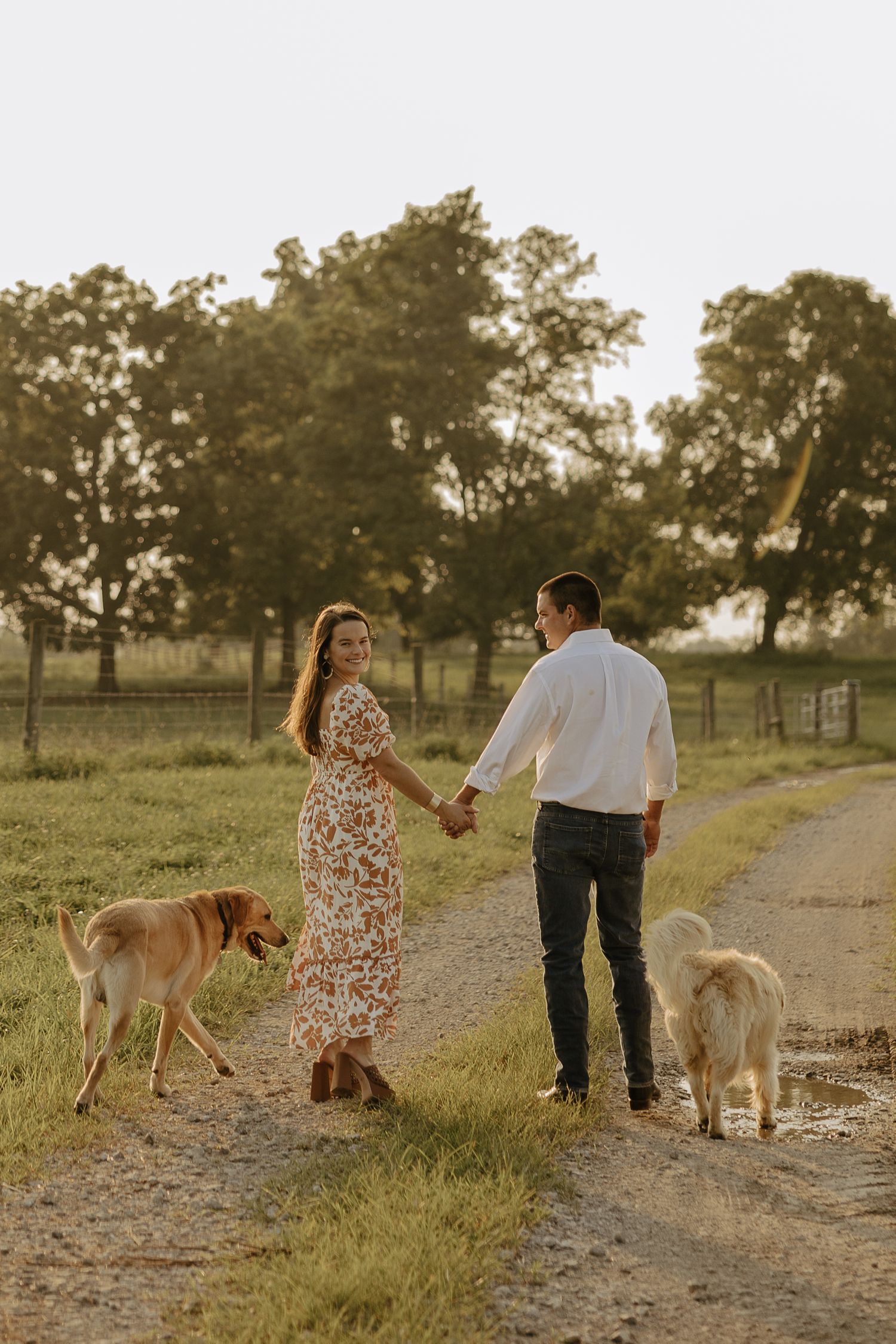 Couple walks their golden retrievers along a countryside path during golden hour.