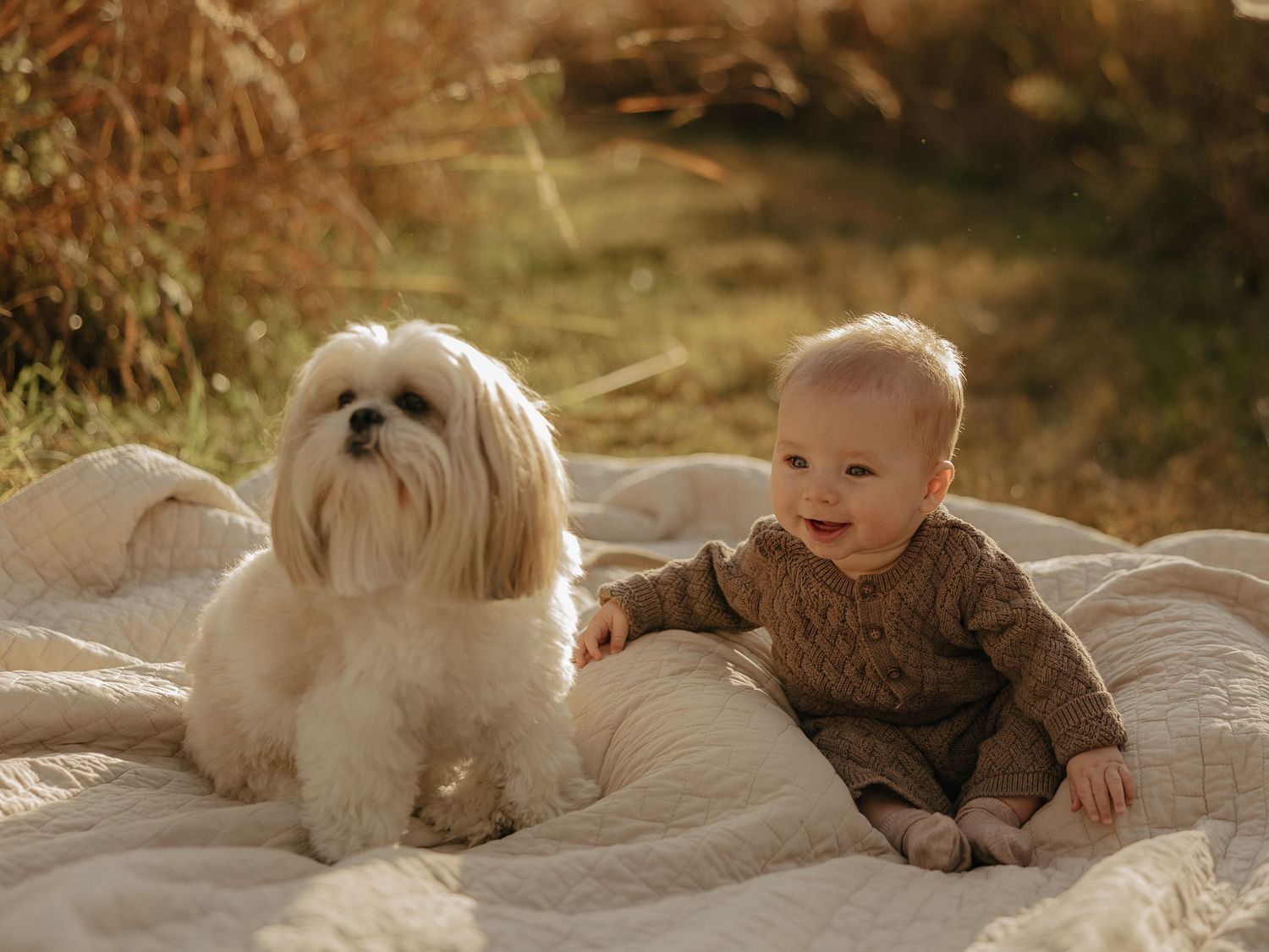 White dog and baby sharing sweet moments on blanket during outdoor photoshoot.