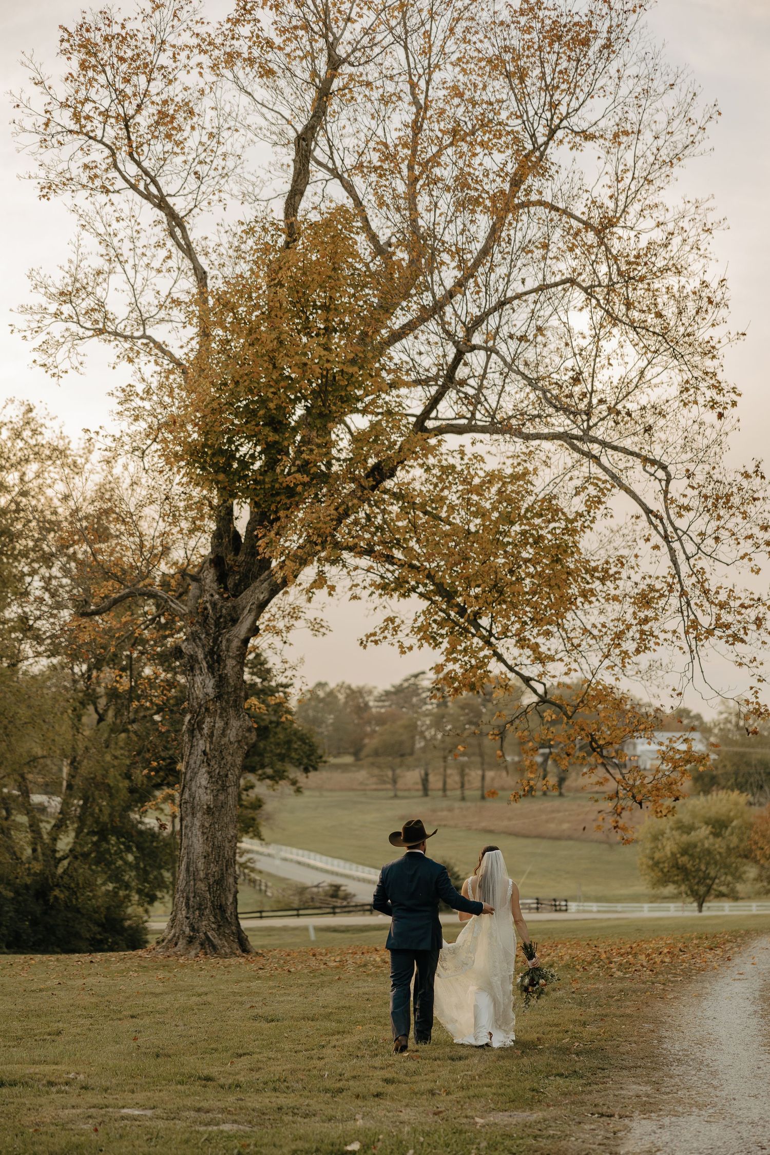 A couple walks hand in hand along a scenic autumn path with golden leaves and bare trees in a peaceful park setting.