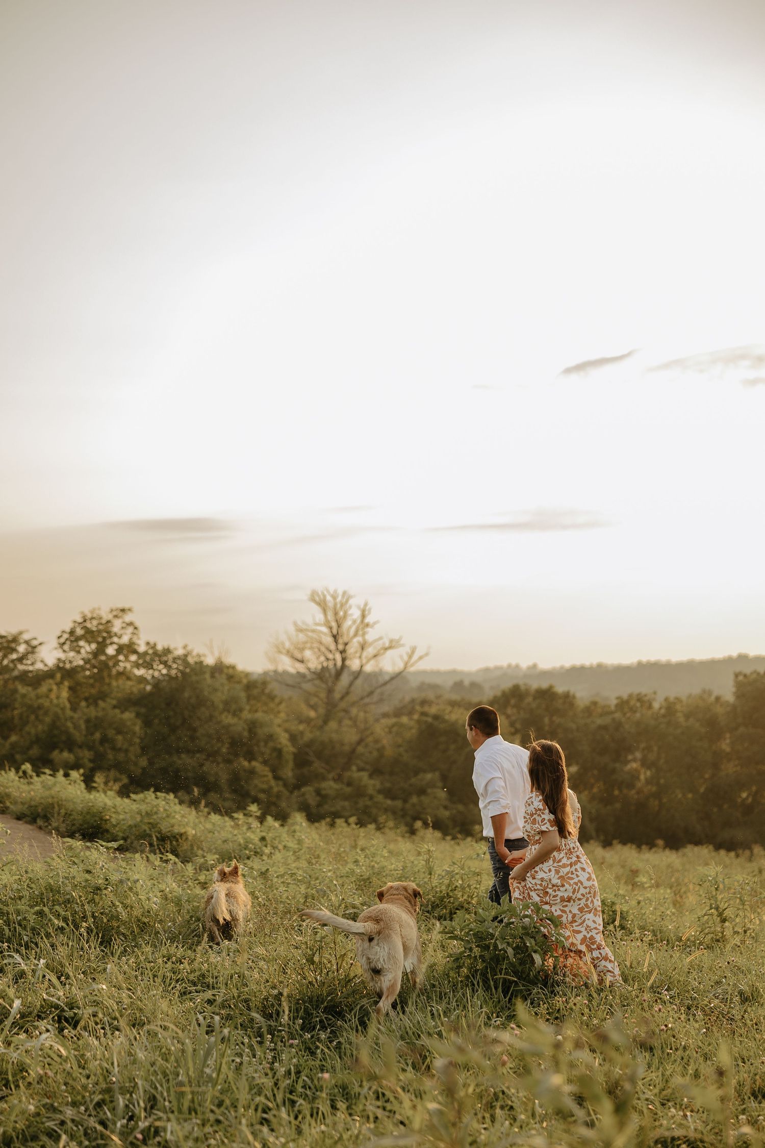 Couple walks through a scenic hilltop meadow with their dogs during sunset.