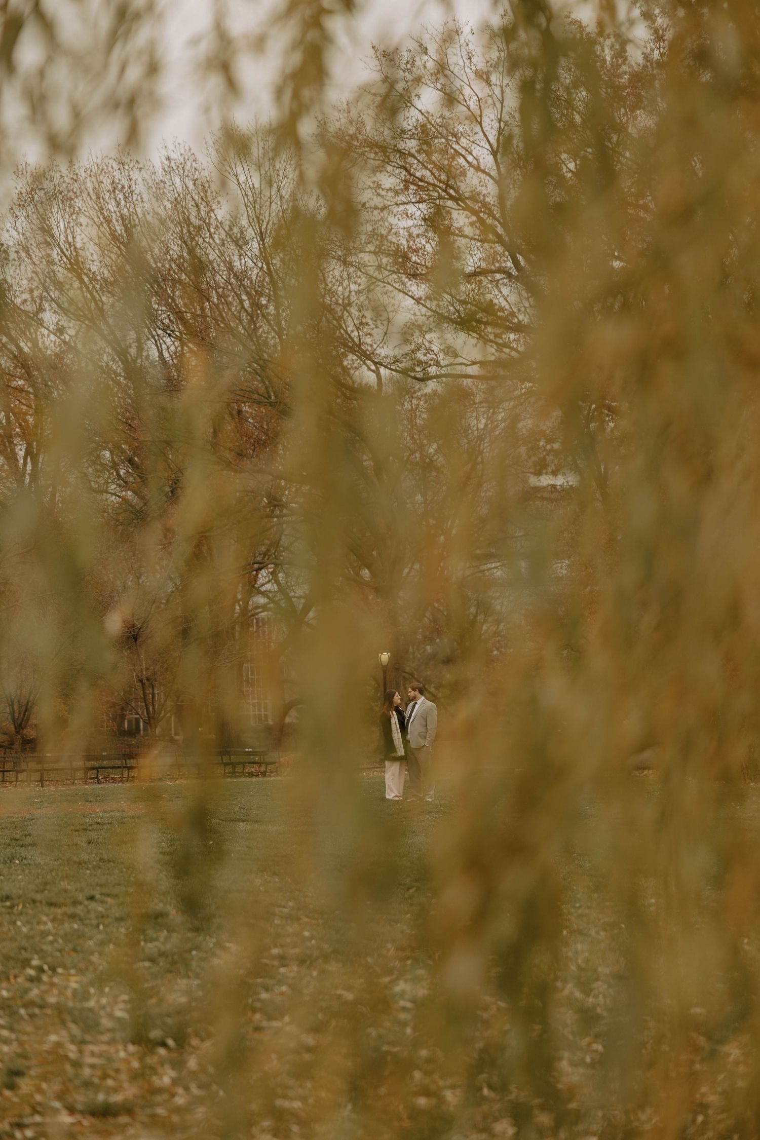 Autumn landscape with dry grass and bare trees in muted brown tones creating a natural textured background.