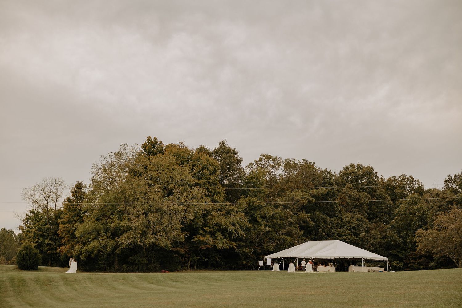 Panoramic view of trees and landscape at outdoor wedding venue.