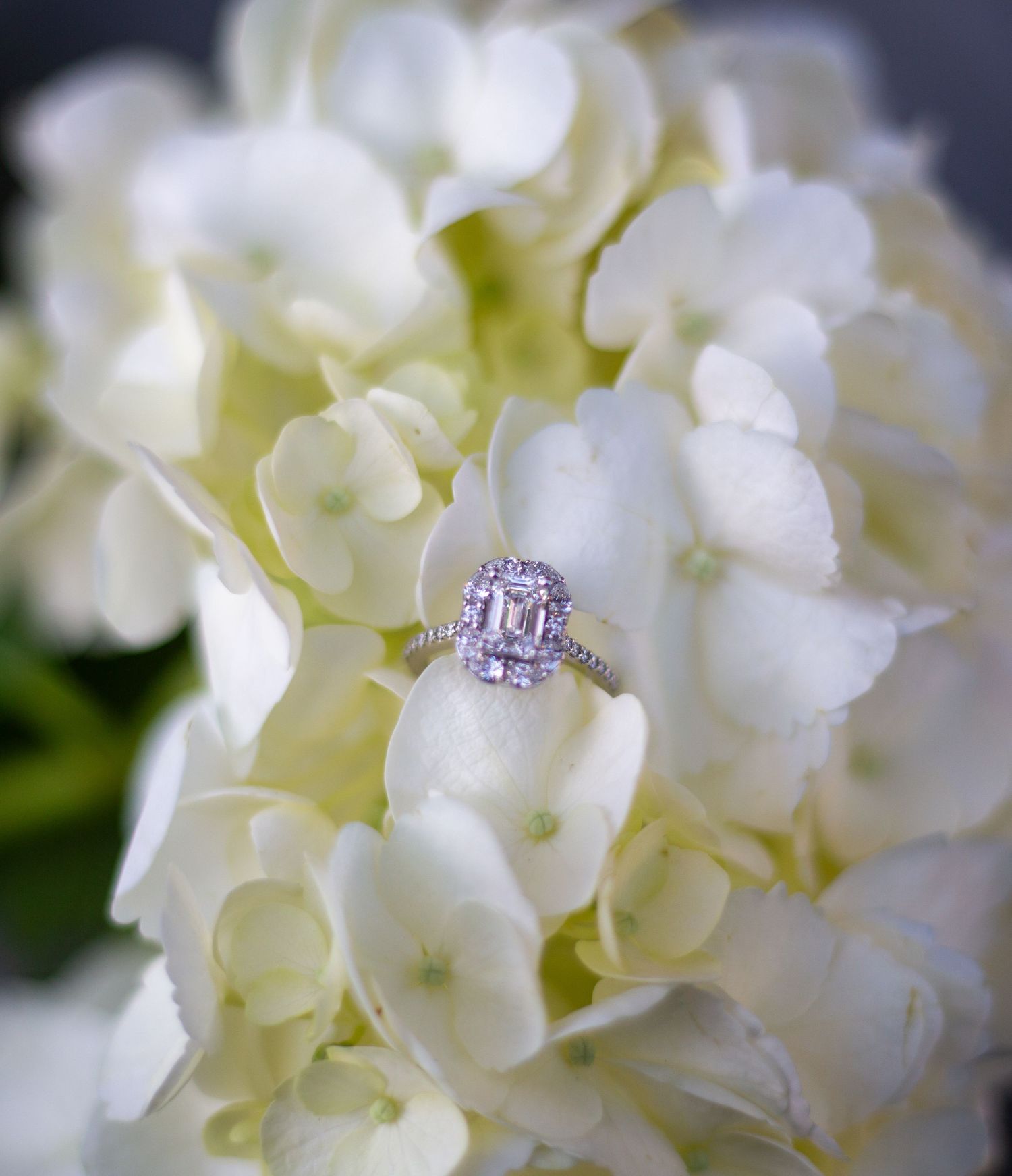 Elegant diamond halo engagement ring resting on white hydrangea flowers, showcasing sparkling emerald-cut center stone.