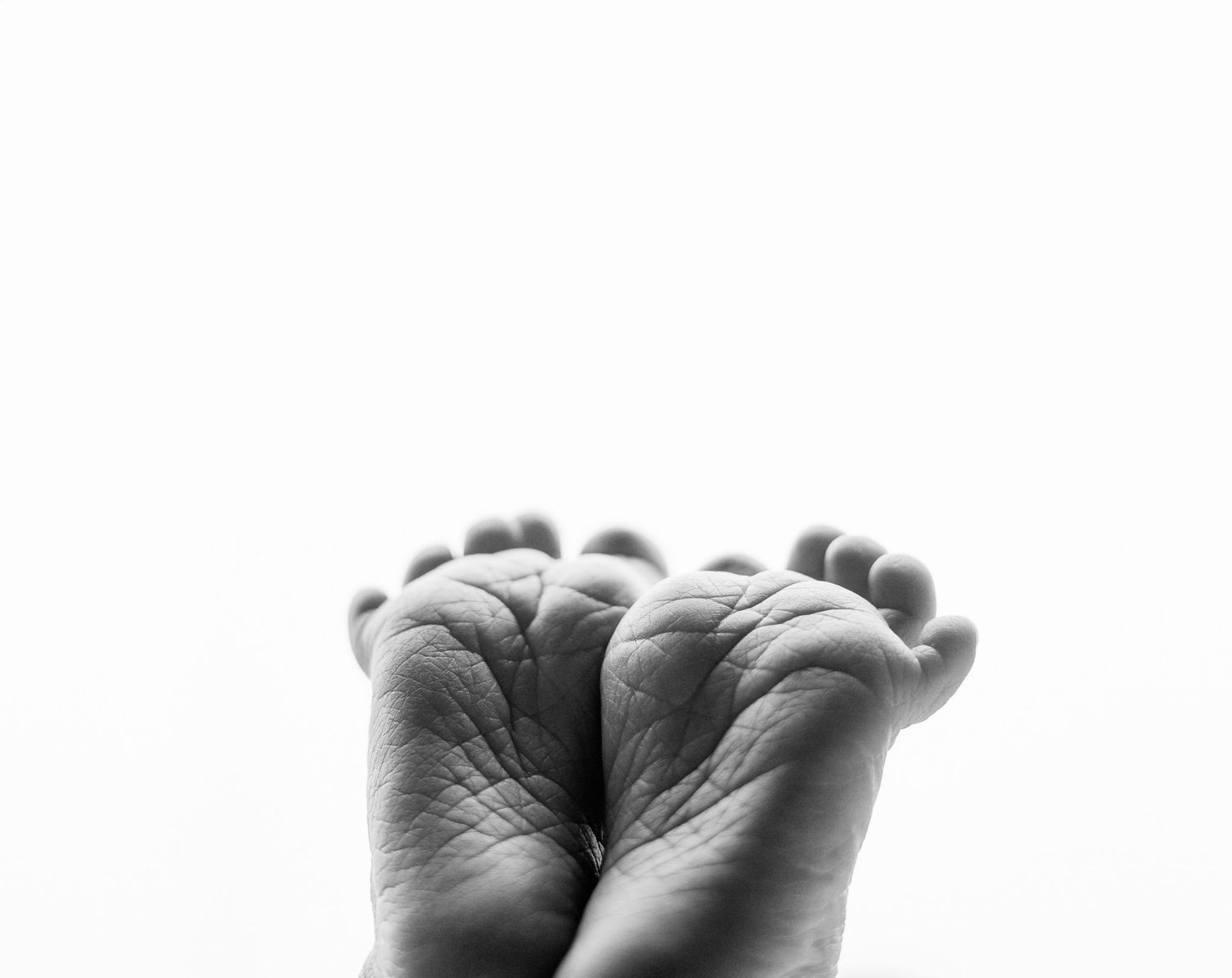 Black and white close-up photograph of tiny baby toes curled up against someone's palm.